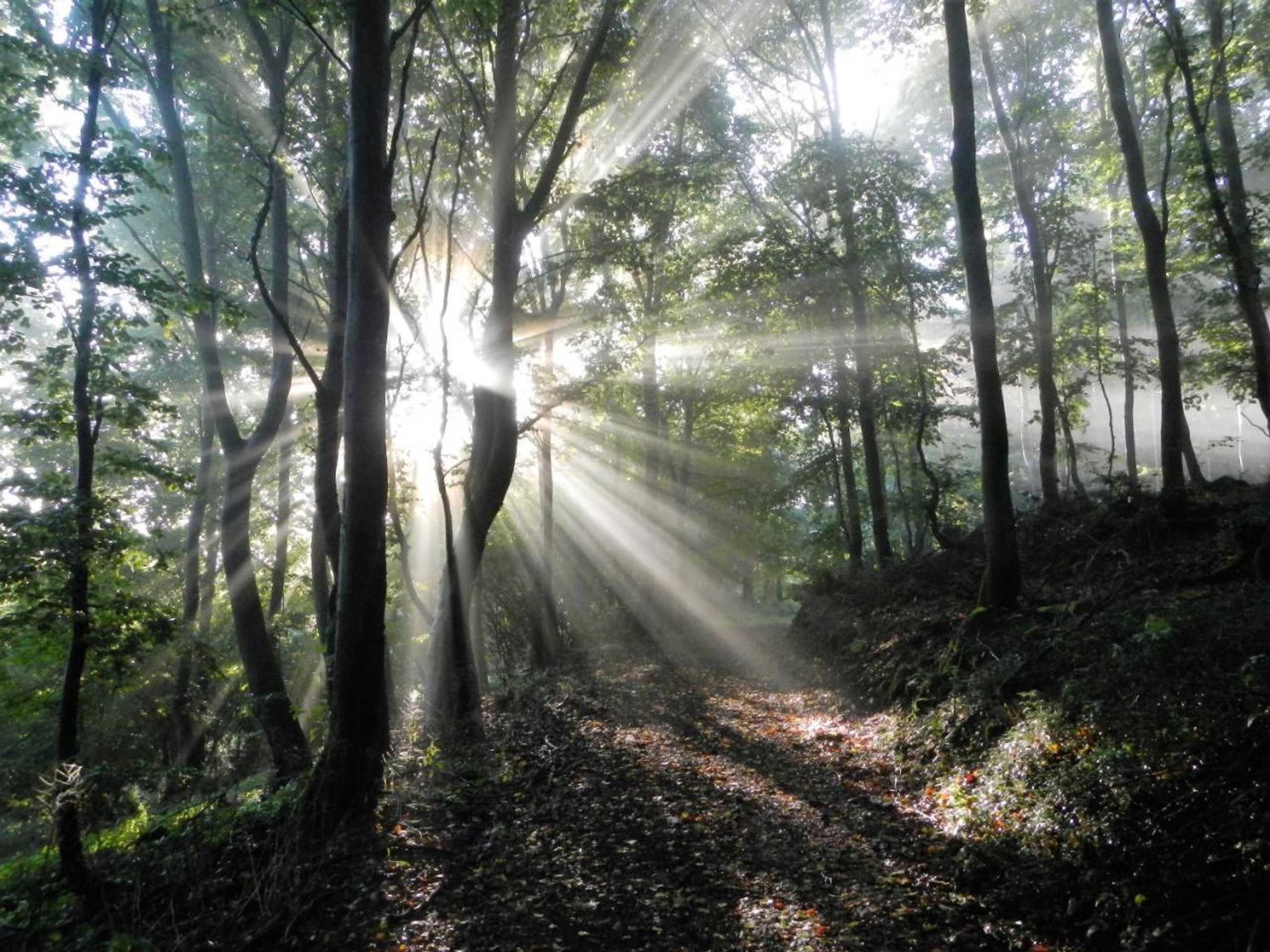 Gift card for Gästehaus Am Hochsimmer