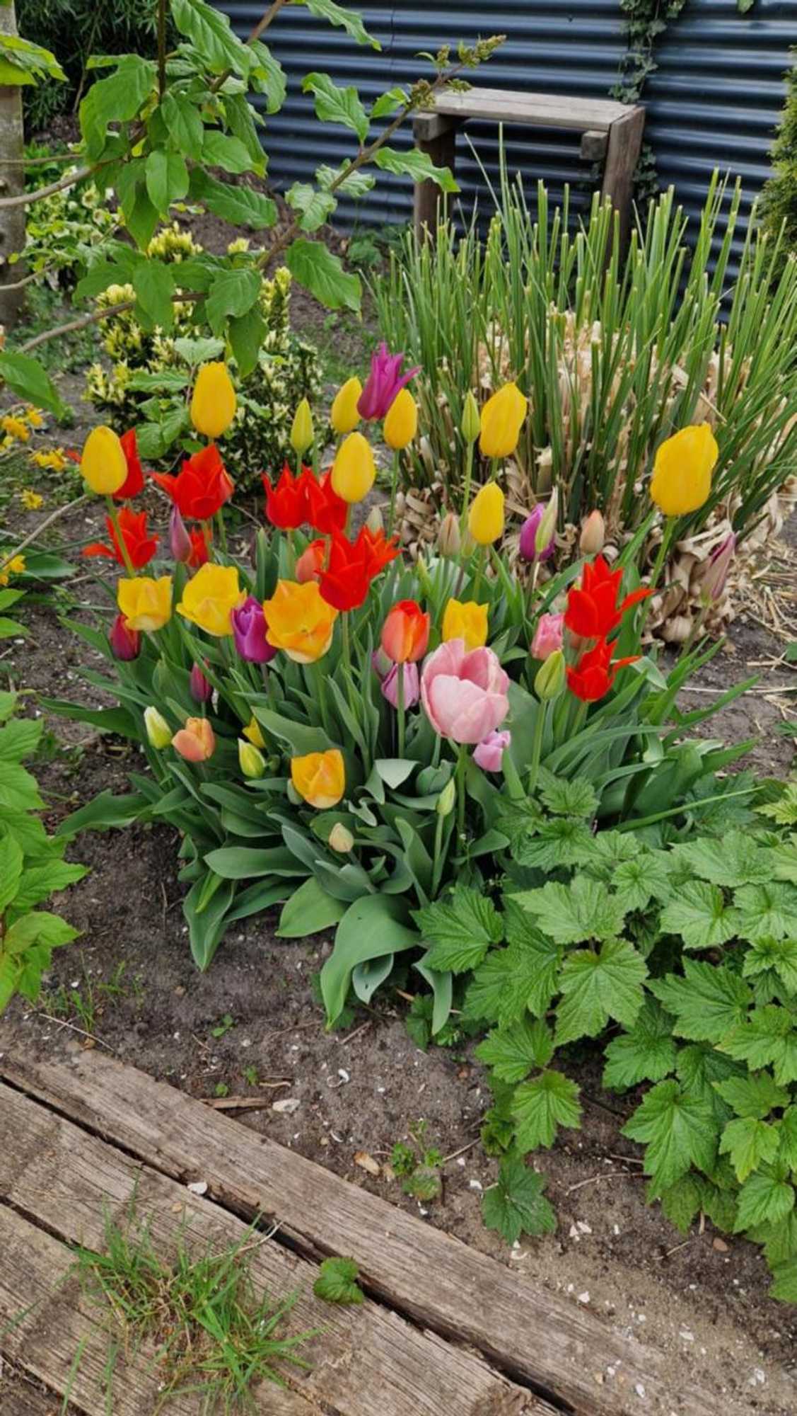 Gift card for Bed en Breakfast Donna