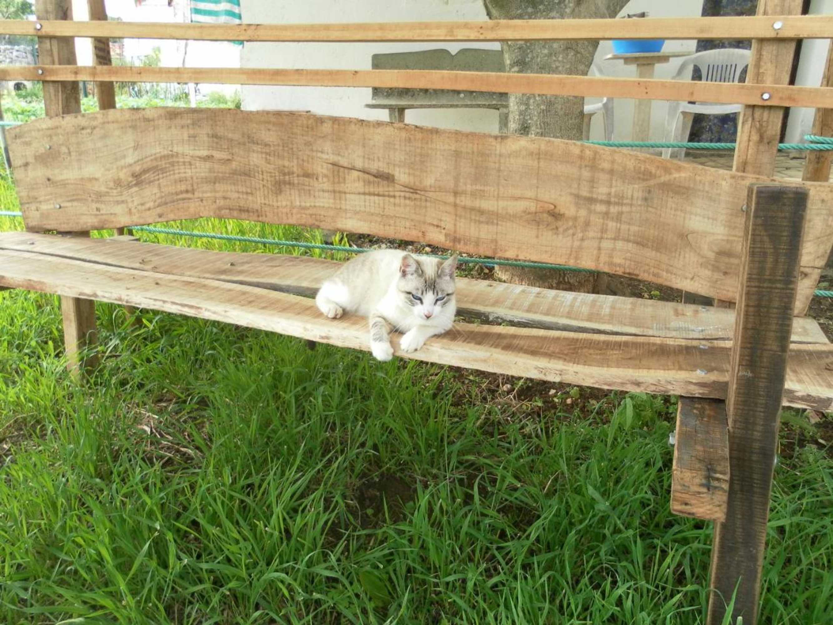 Gift card for Retiro Da Avó Lídia