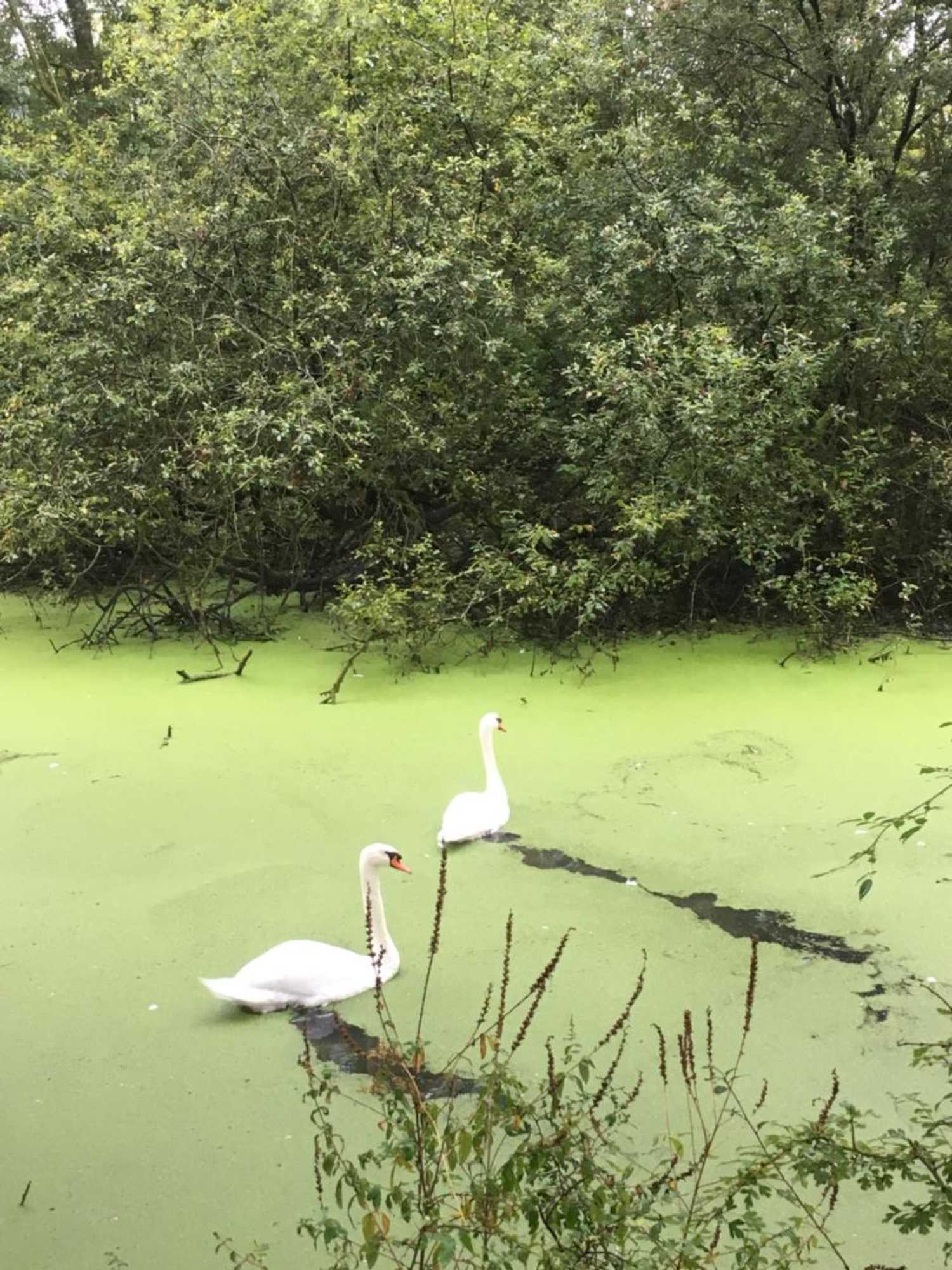 Gift card for Voel je Thuis