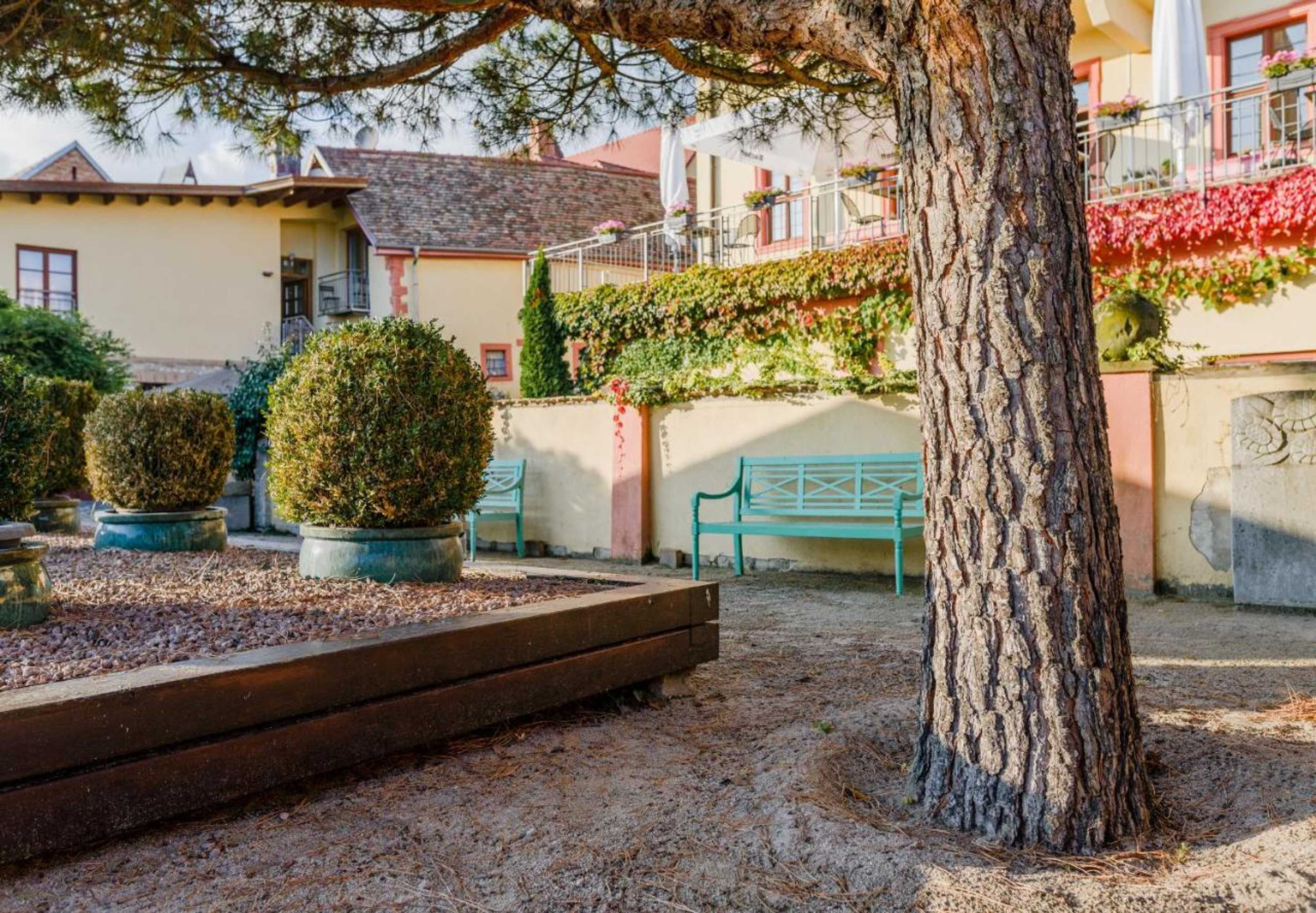 Gift card for Hotel Kollektur