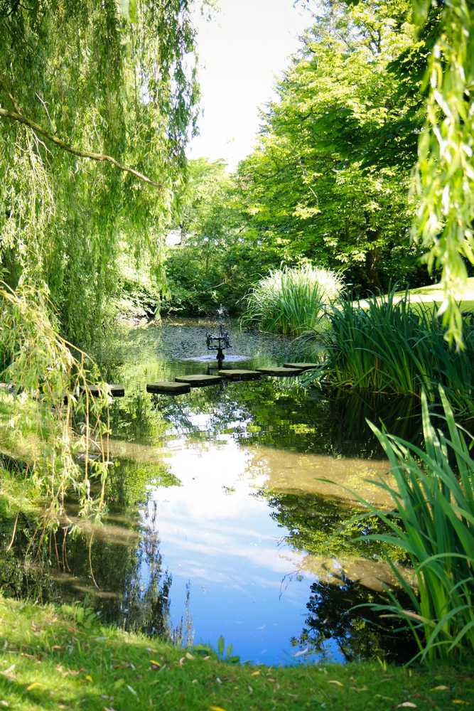 Gift card for Sturmer Hall Hotel & Conference Centre Gift card for Sturmer Hall Hotel & Conference Centre