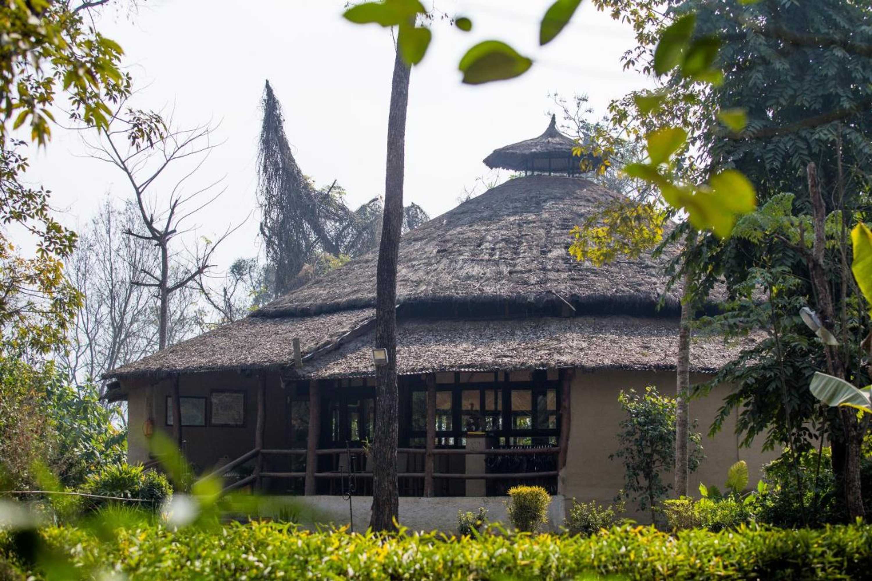 Gift card for Temple Tiger Green Jungle Resort