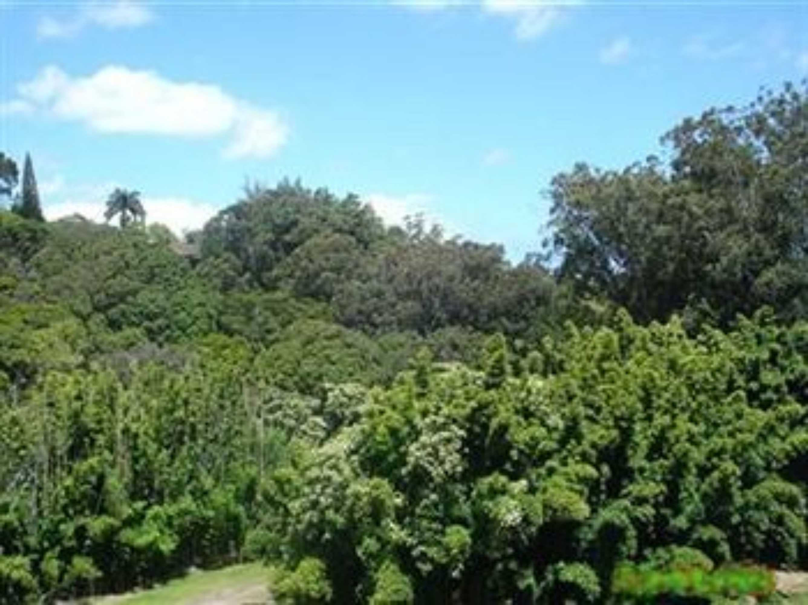 Gift card for Bamboo Valley Inn