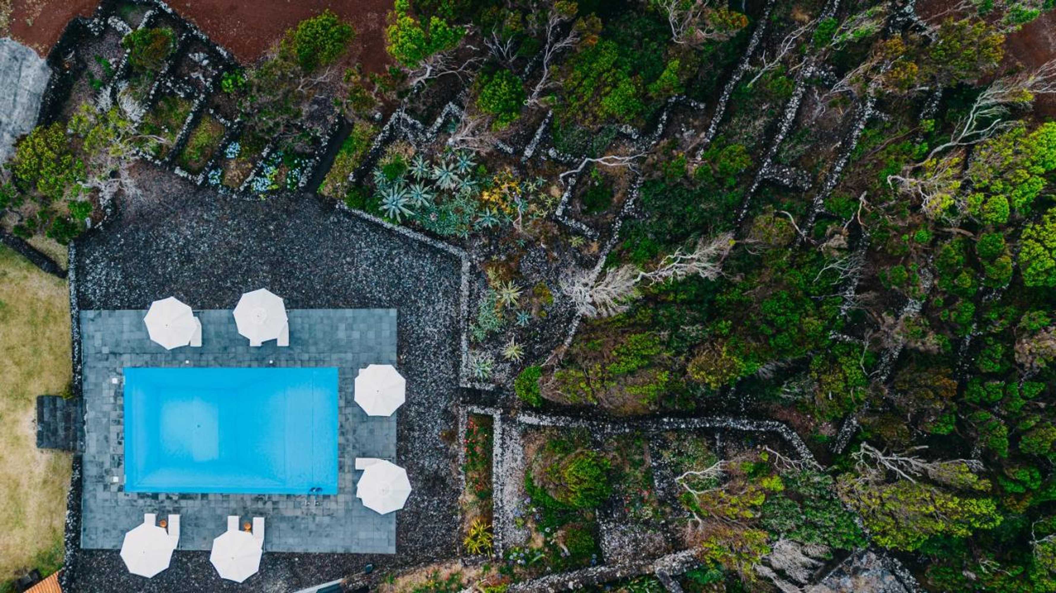 Gift card for Pocinhobay