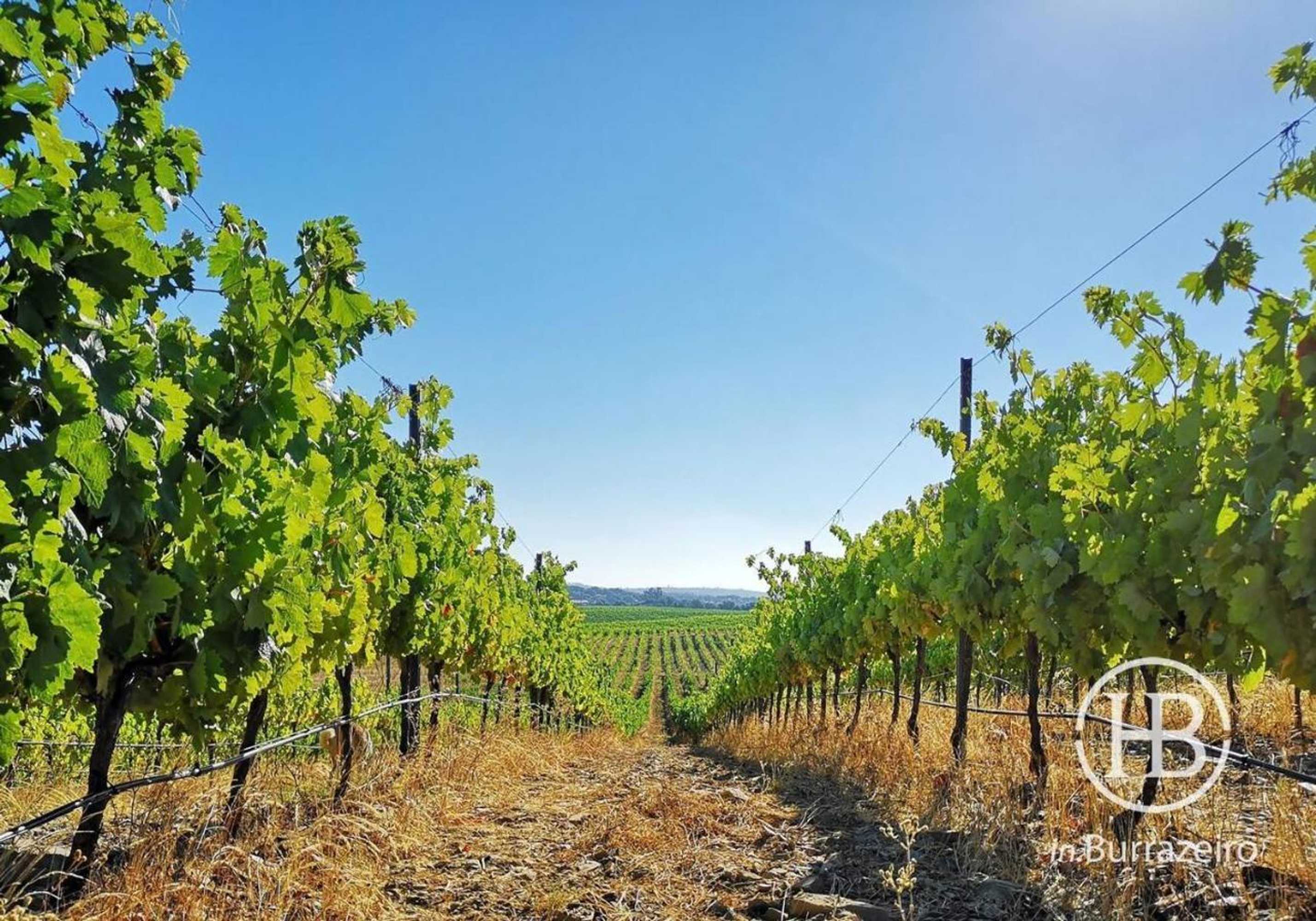 Gift card for Herdade do Burrazeiro Turismo Rural no Alentejo