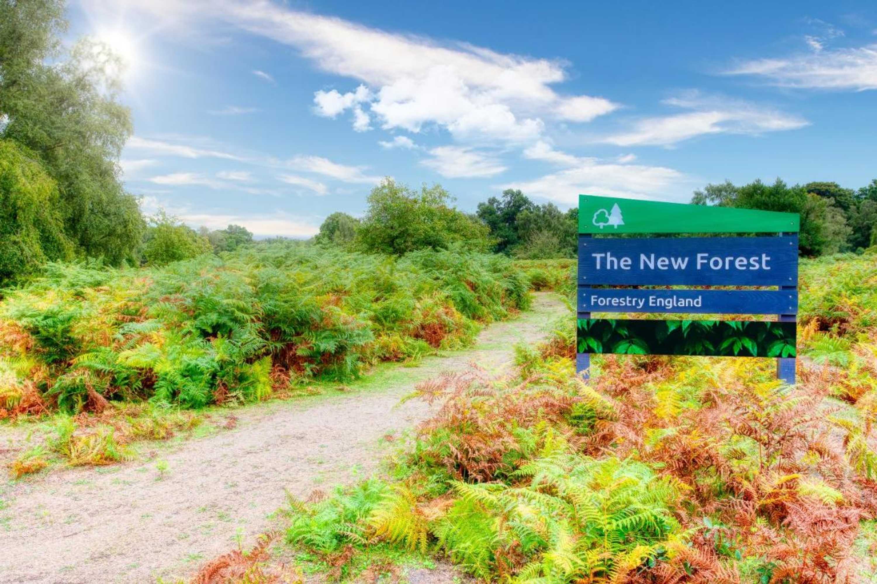 Gift card for Lakeside Lodge, Green Hill Farm Holiday Village