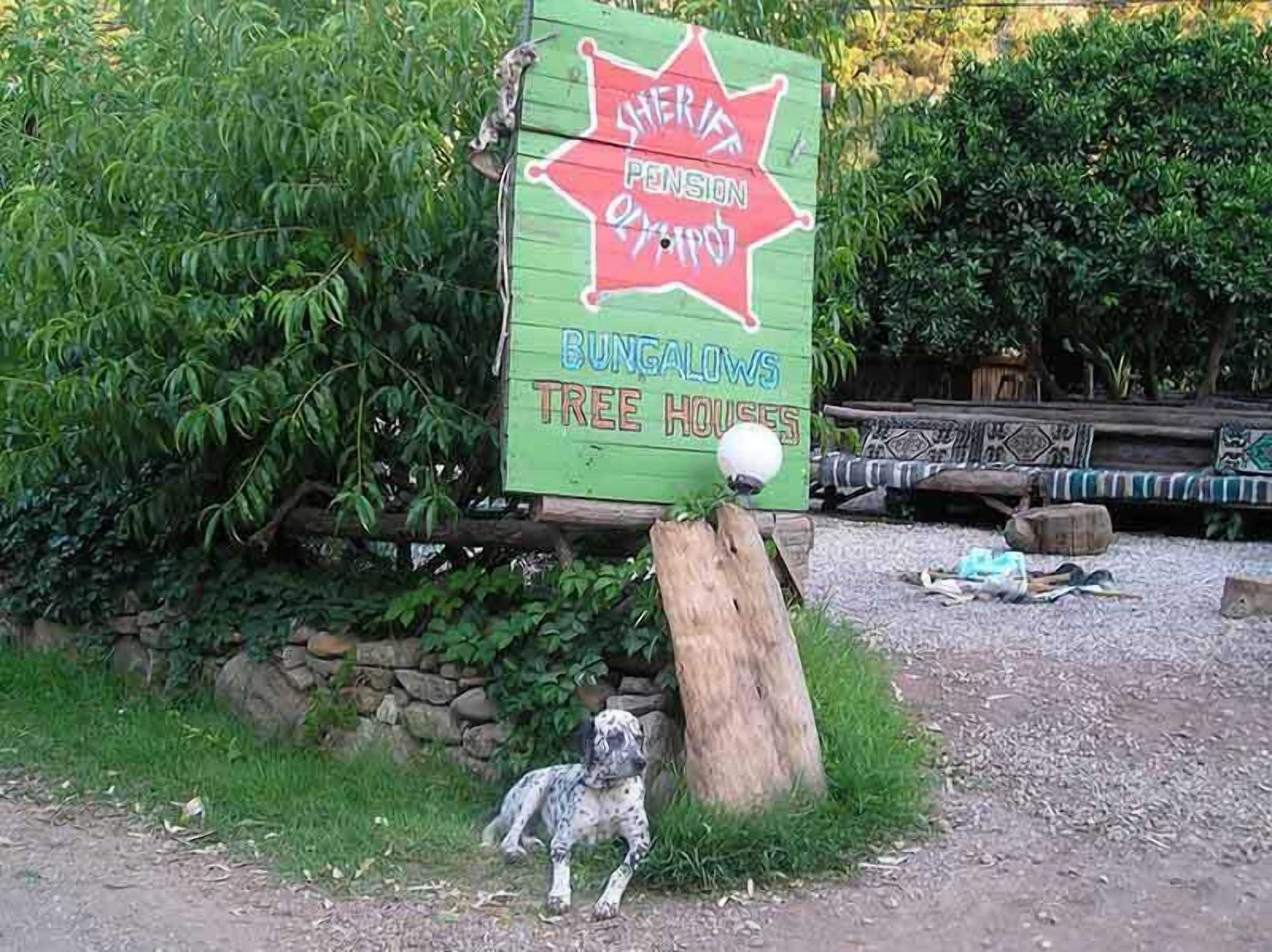 Gift card for Sheriff Olimpos