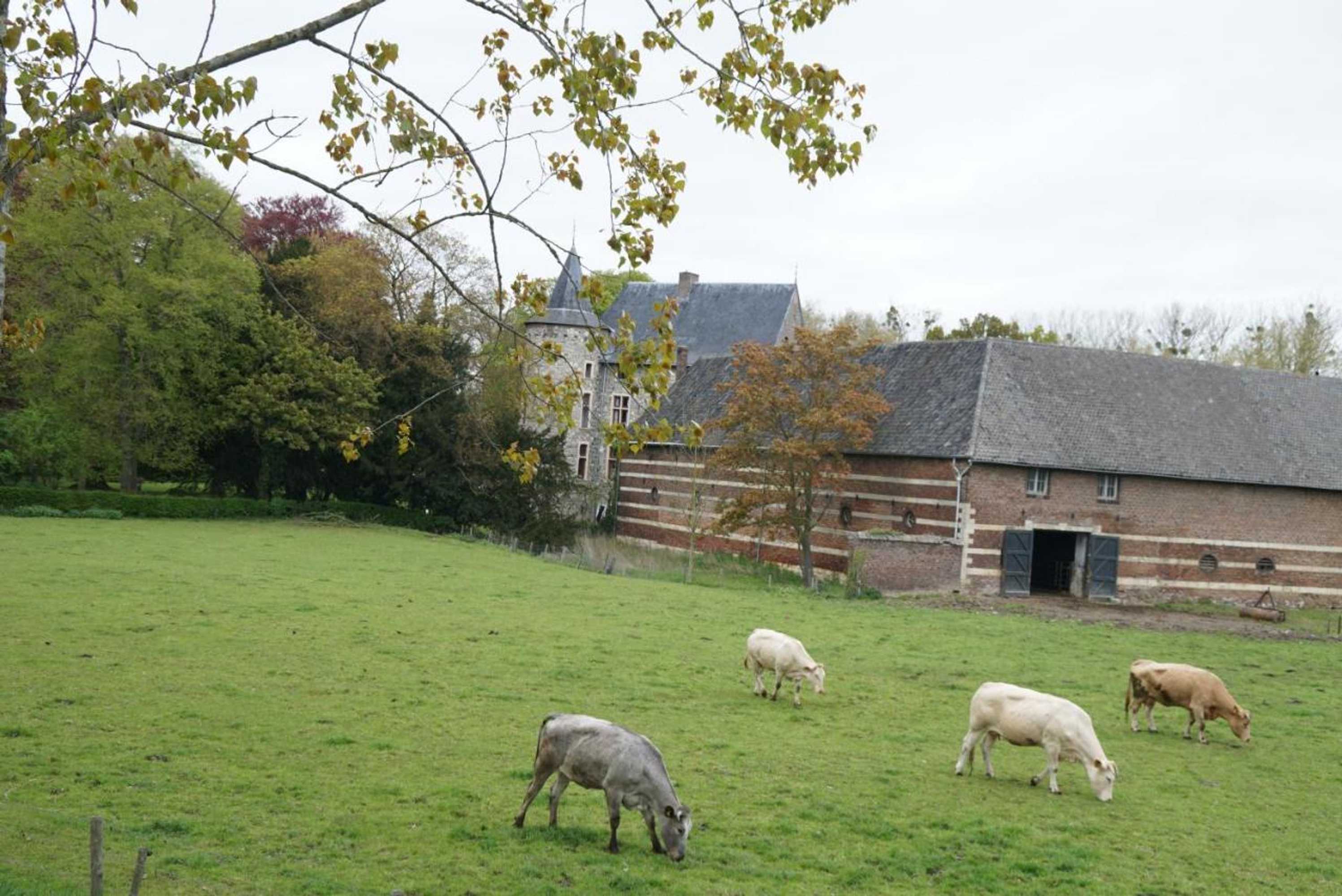 Gift card for Hotel Bemelmans