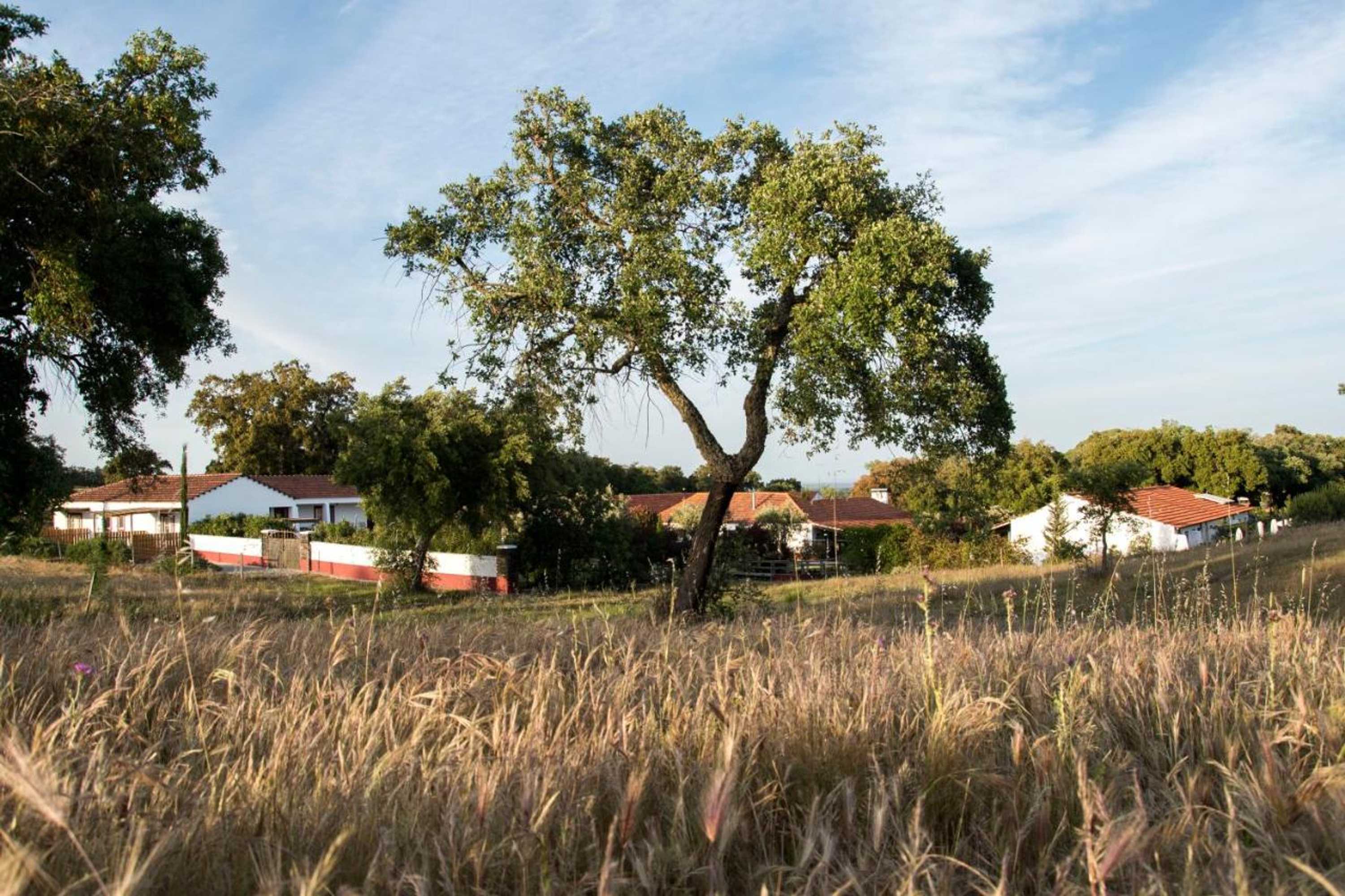 Gift card for Herdade Das Barradas da Serra