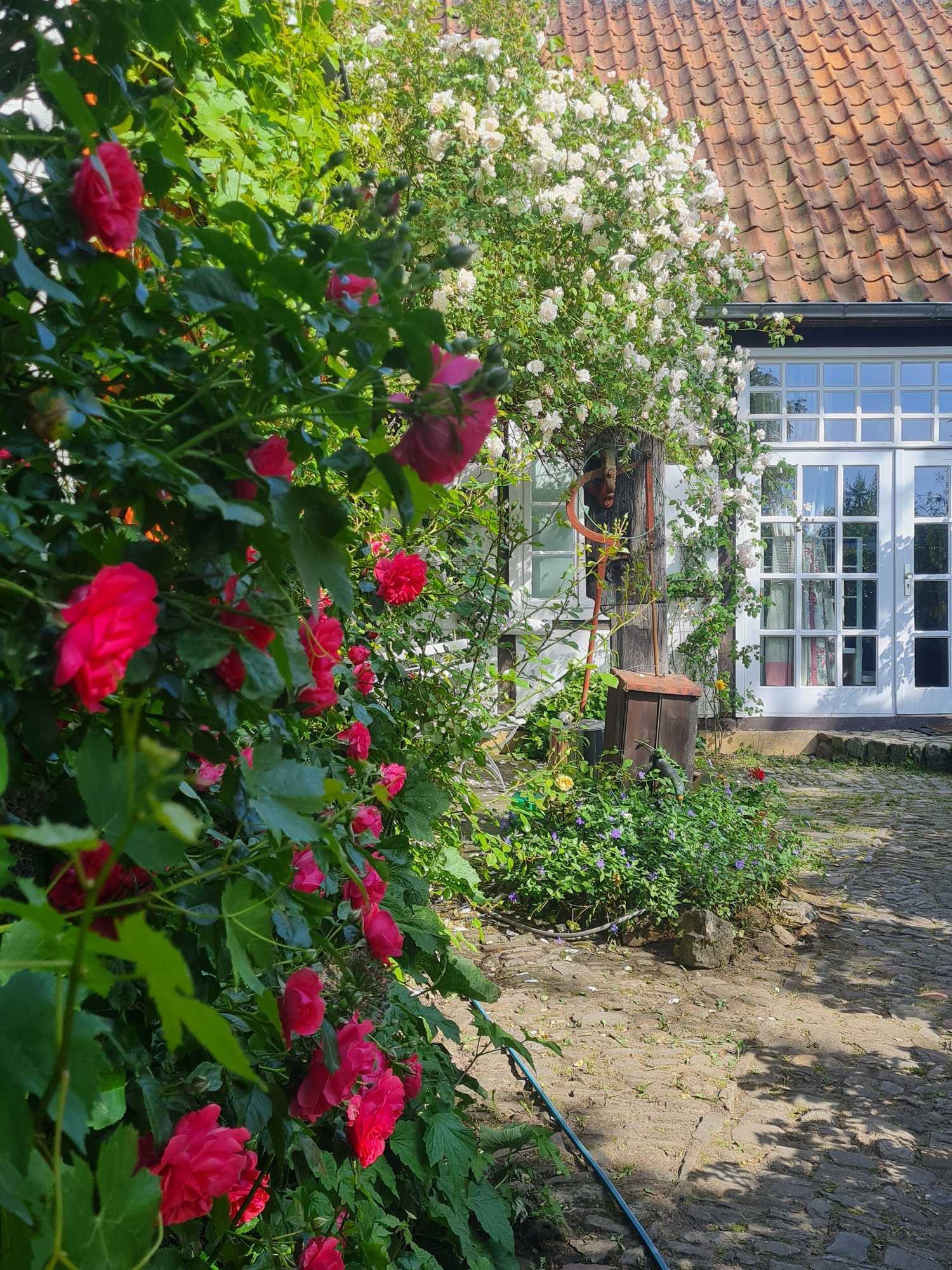 Gift card for Rosindell Cottage Gift card for Rosindell Cottage