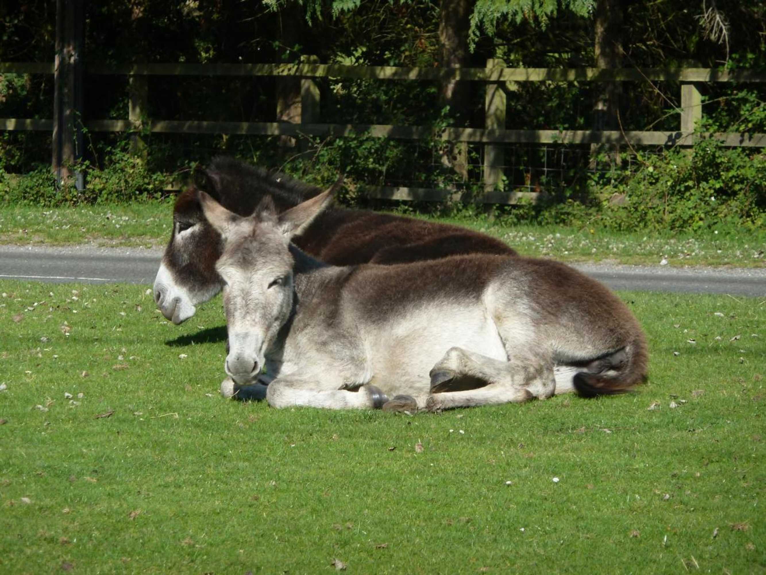 Gift card for Cameron House