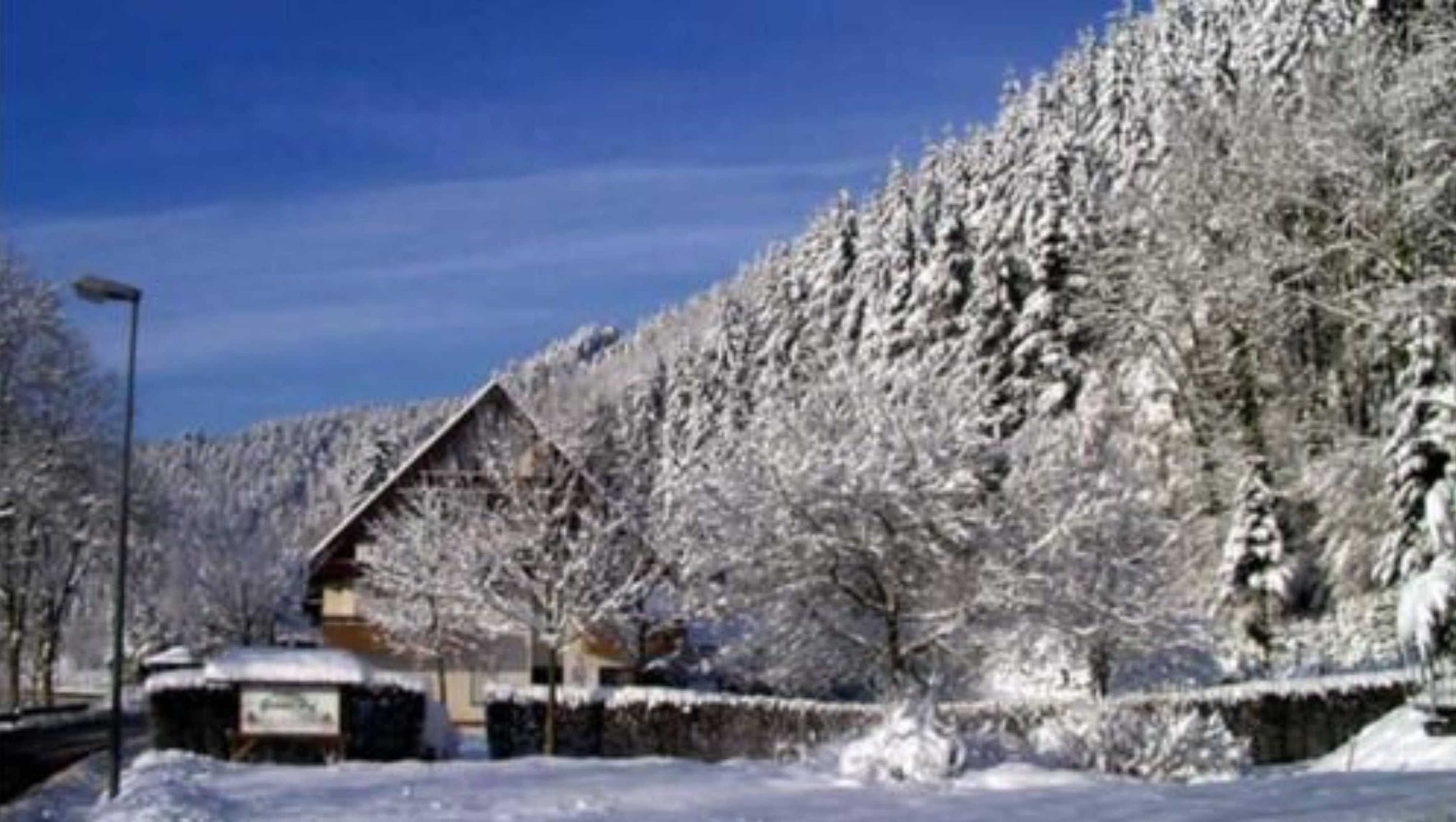 Gift card for Grüner Hof