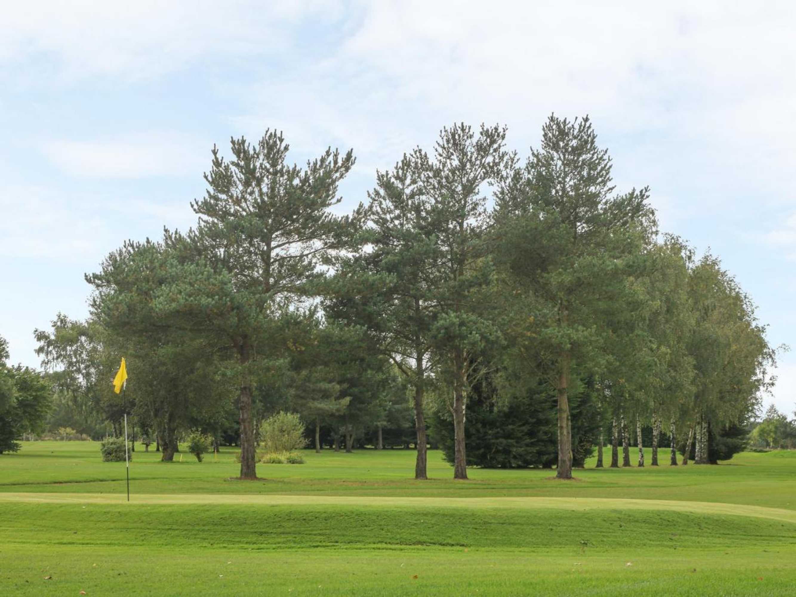 Gift card for The Milking Parlour