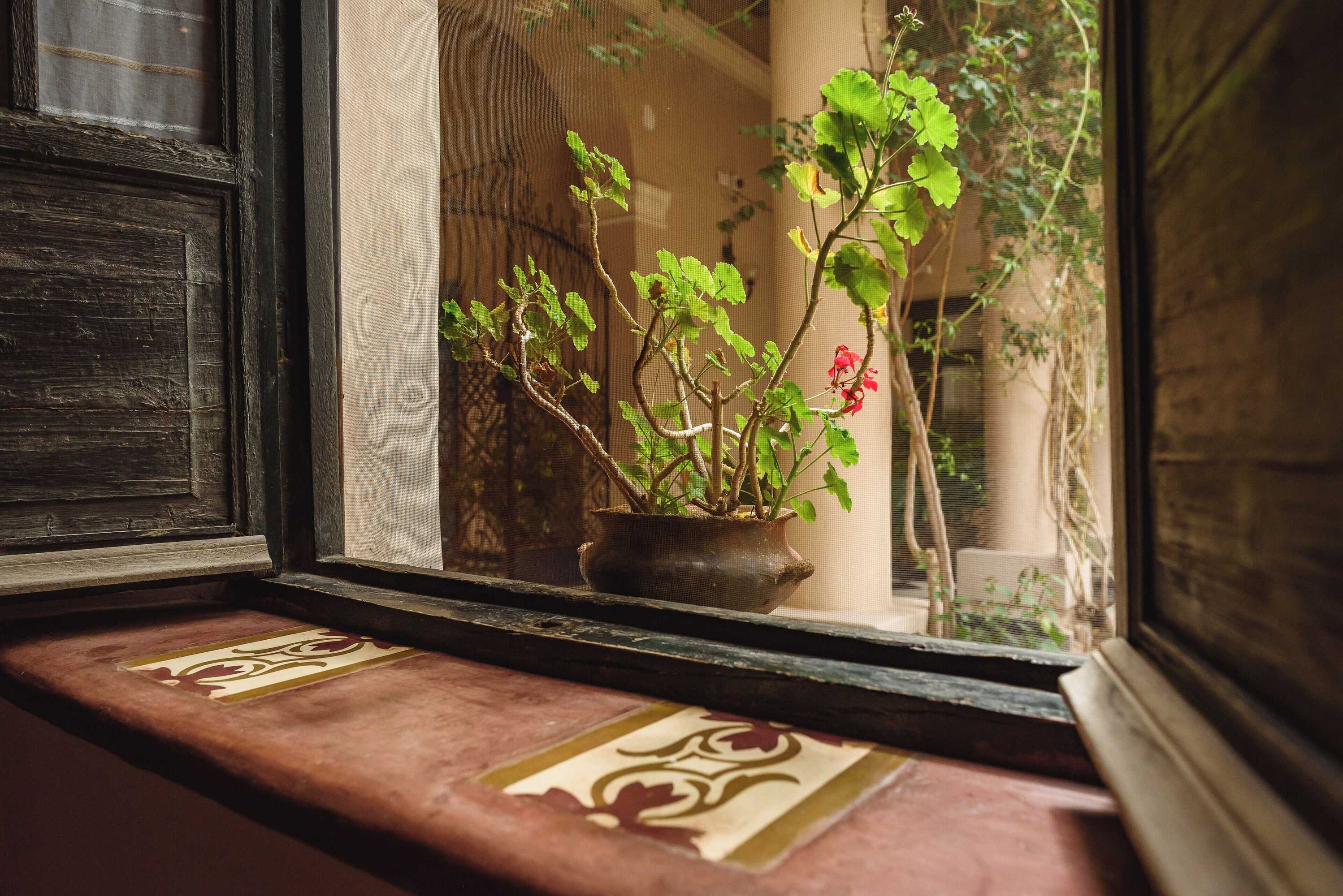Gift card for Vieja Posada Hotel Historico Gift card for Vieja Posada Hotel Historico