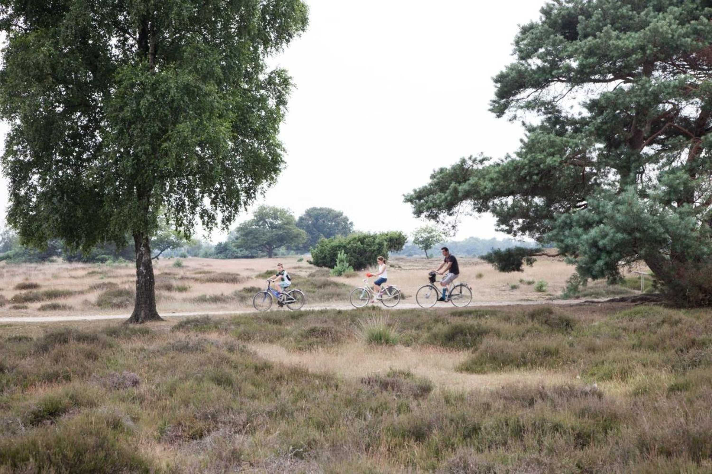 Gift card for De Ullingse Bergen