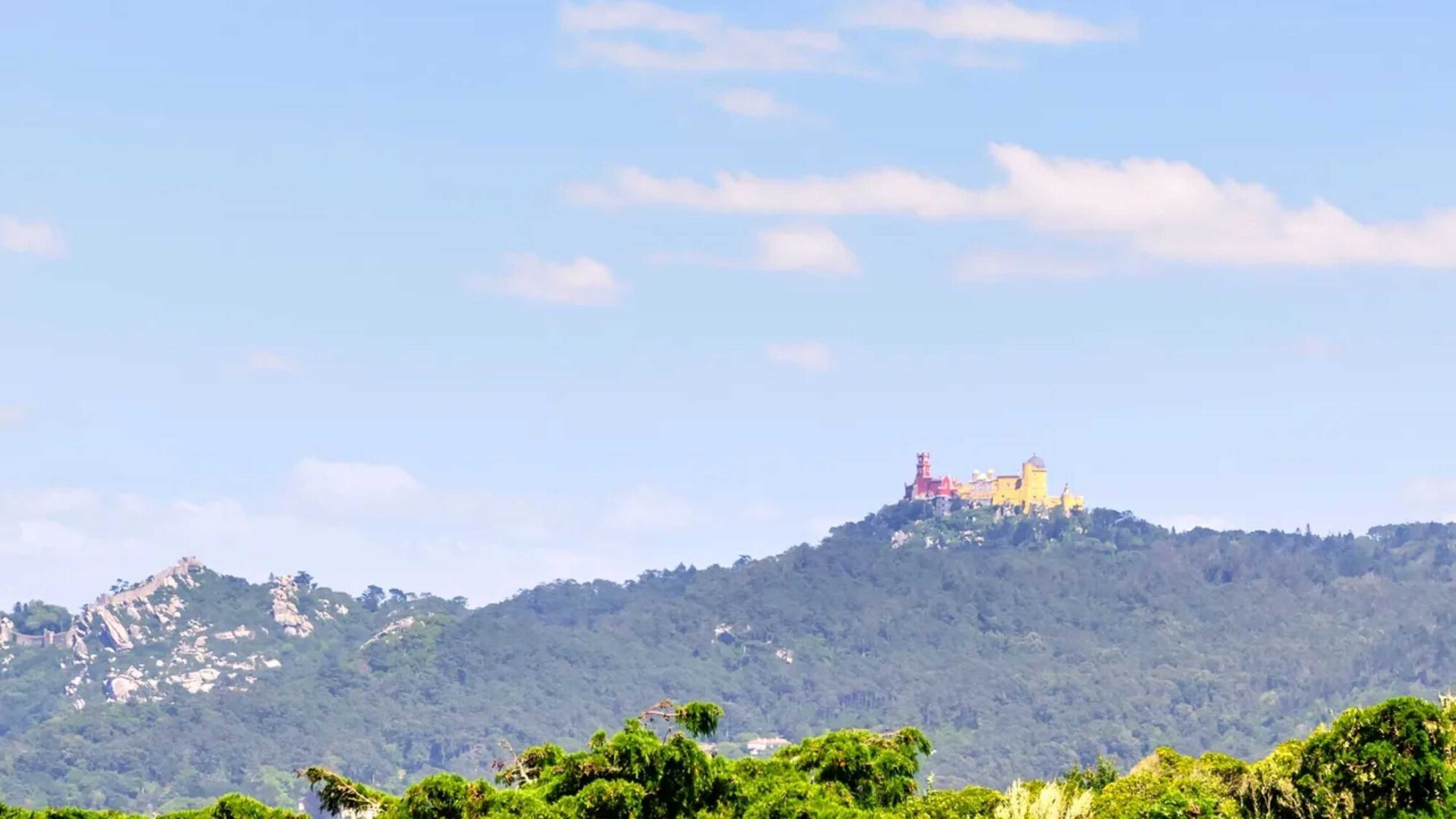 Gift card for Wot Sarrazola Soul