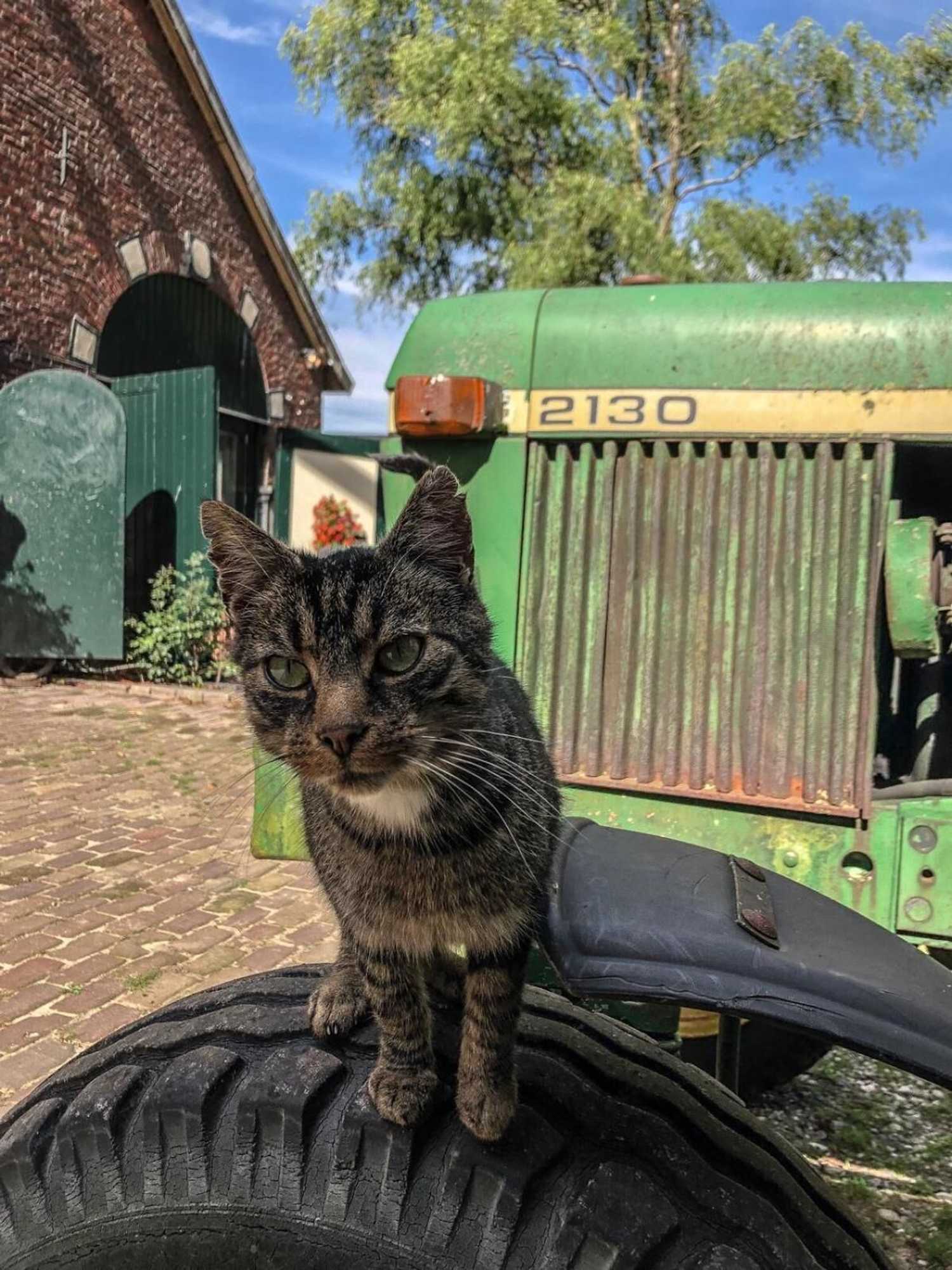 Gift card for Erve Het Roolvink