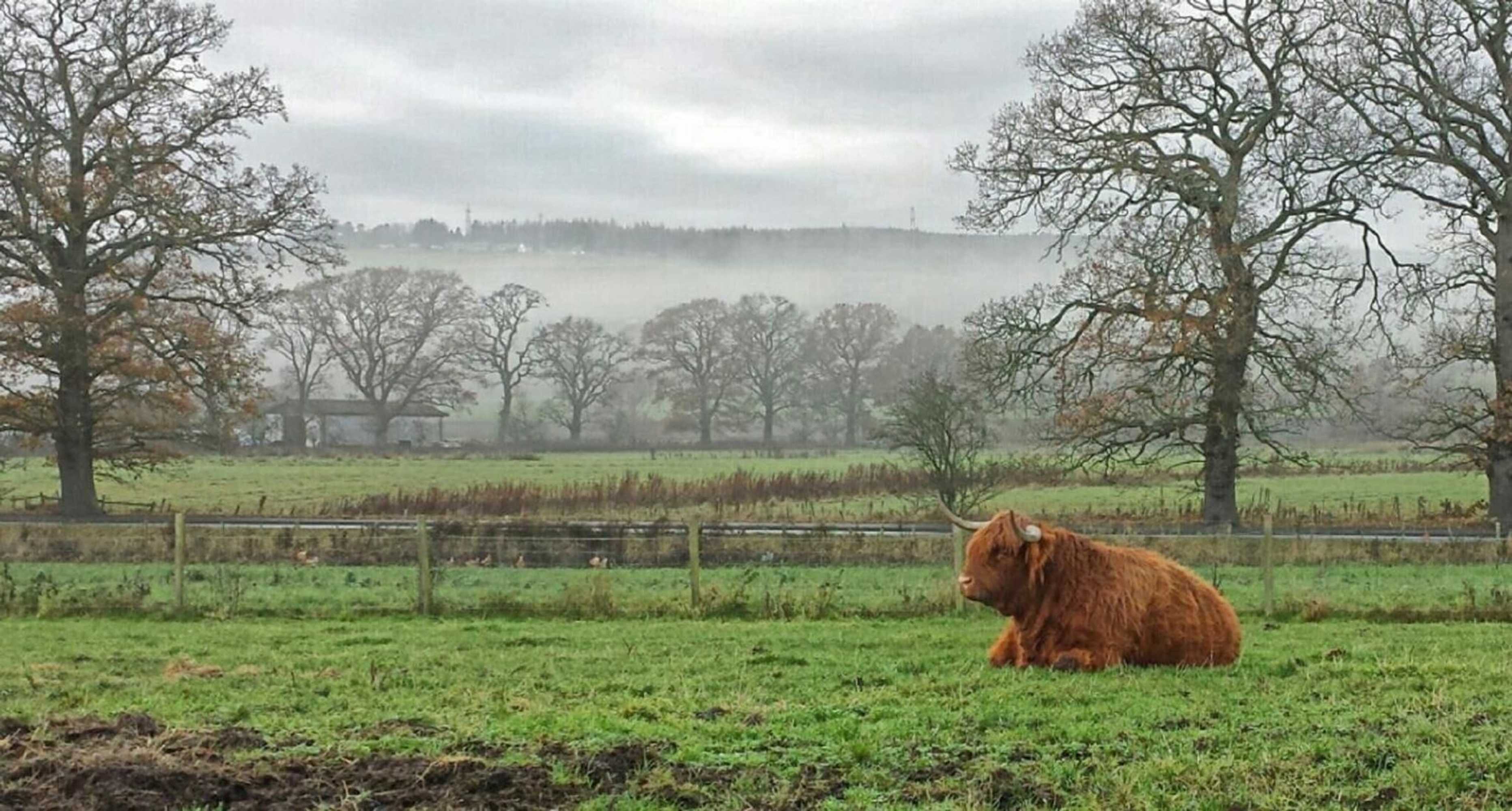 Gift card for Hillview Park