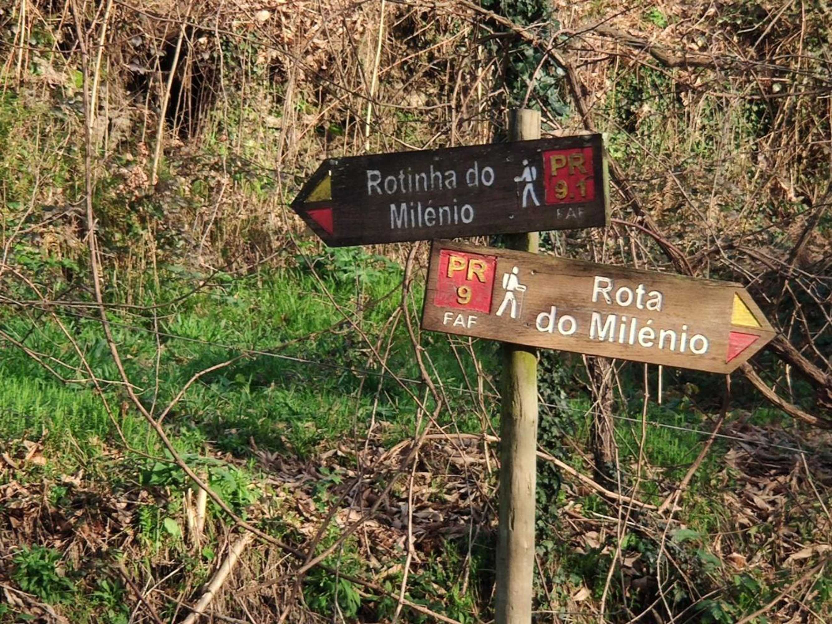 Gift card for Rilhadas Casas de Campo