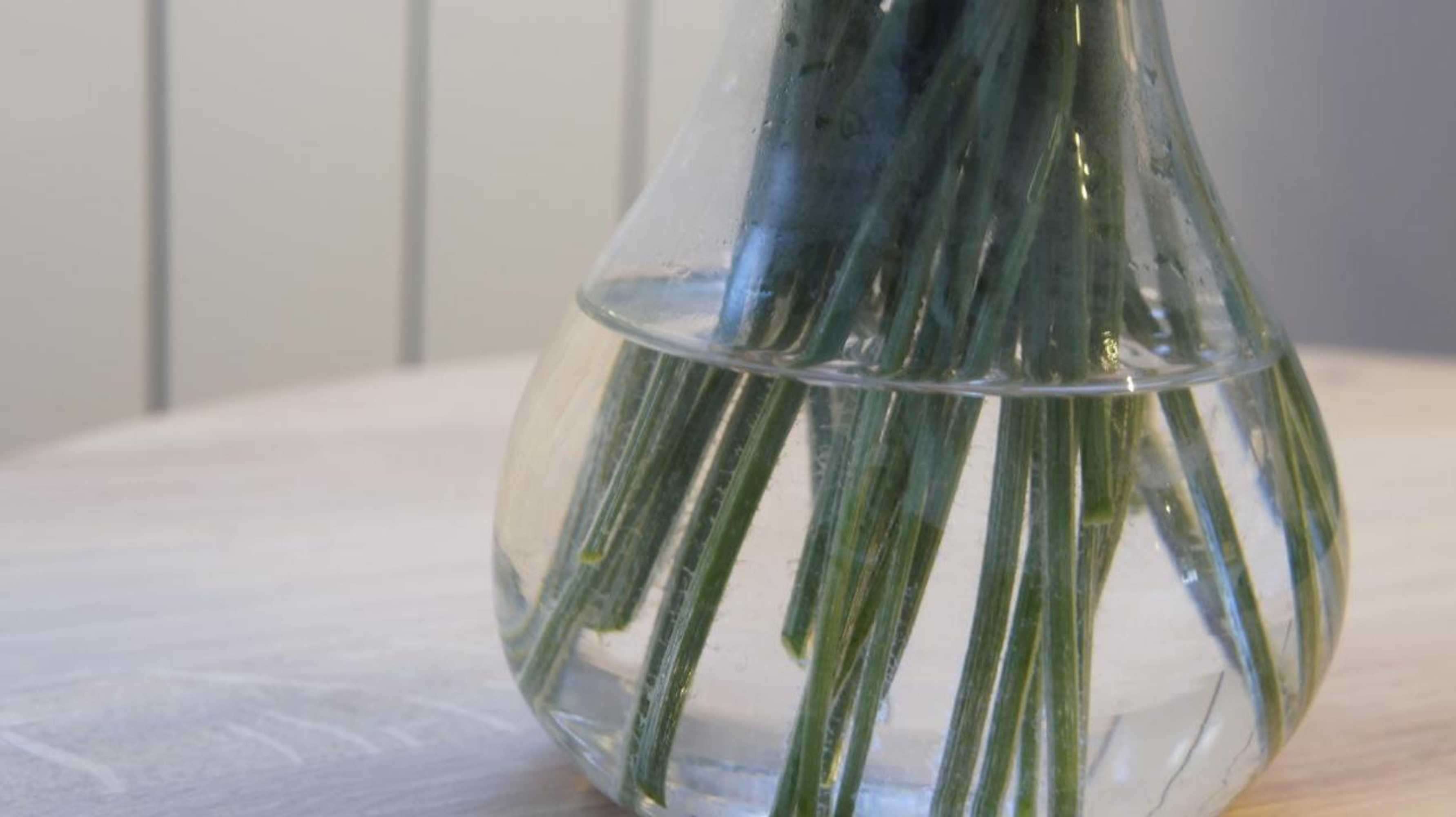 Gift card for Abergavenny Hotel