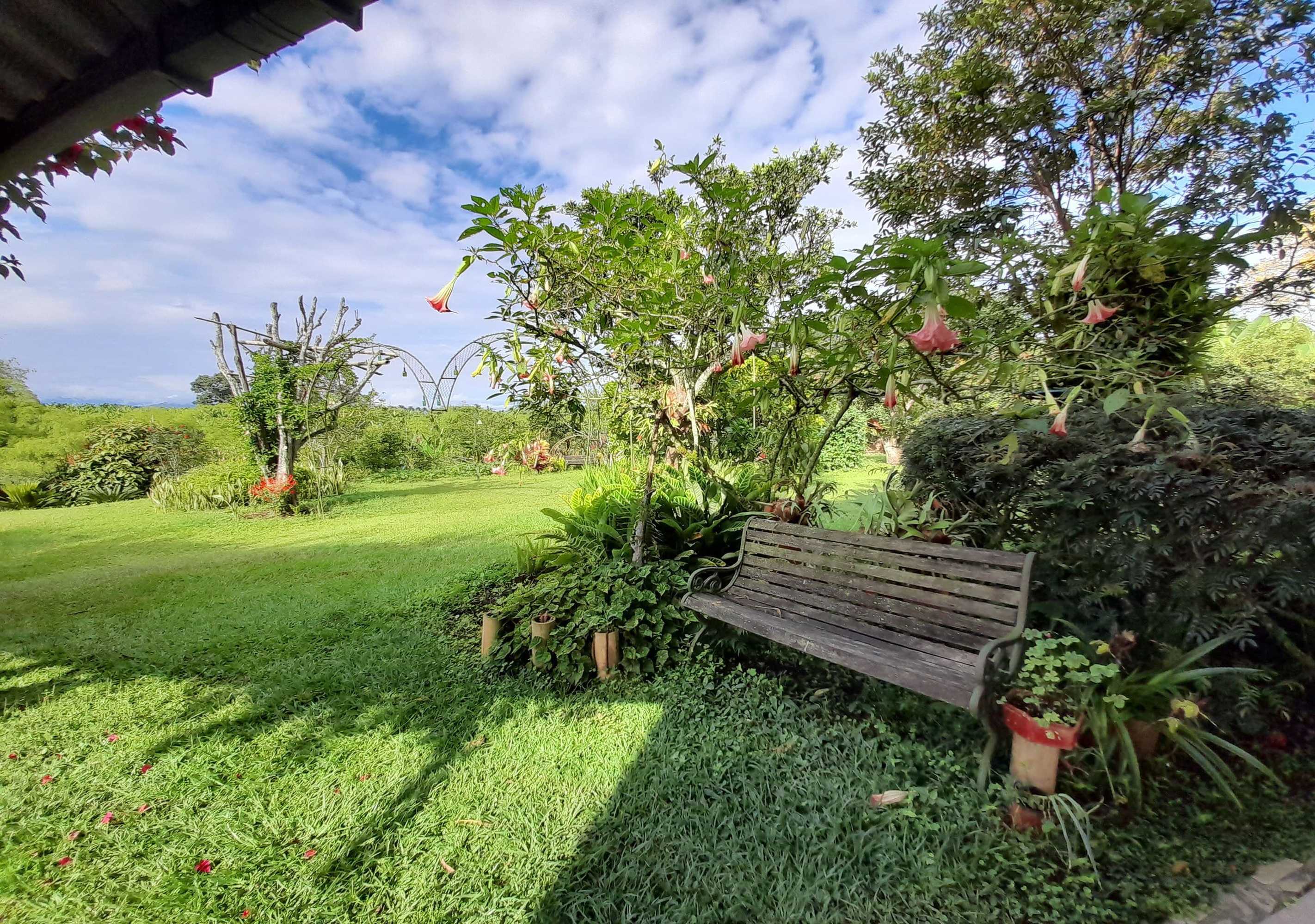 Gift card for Brugmansia Country Hotel Gift card for Brugmansia Country Hotel