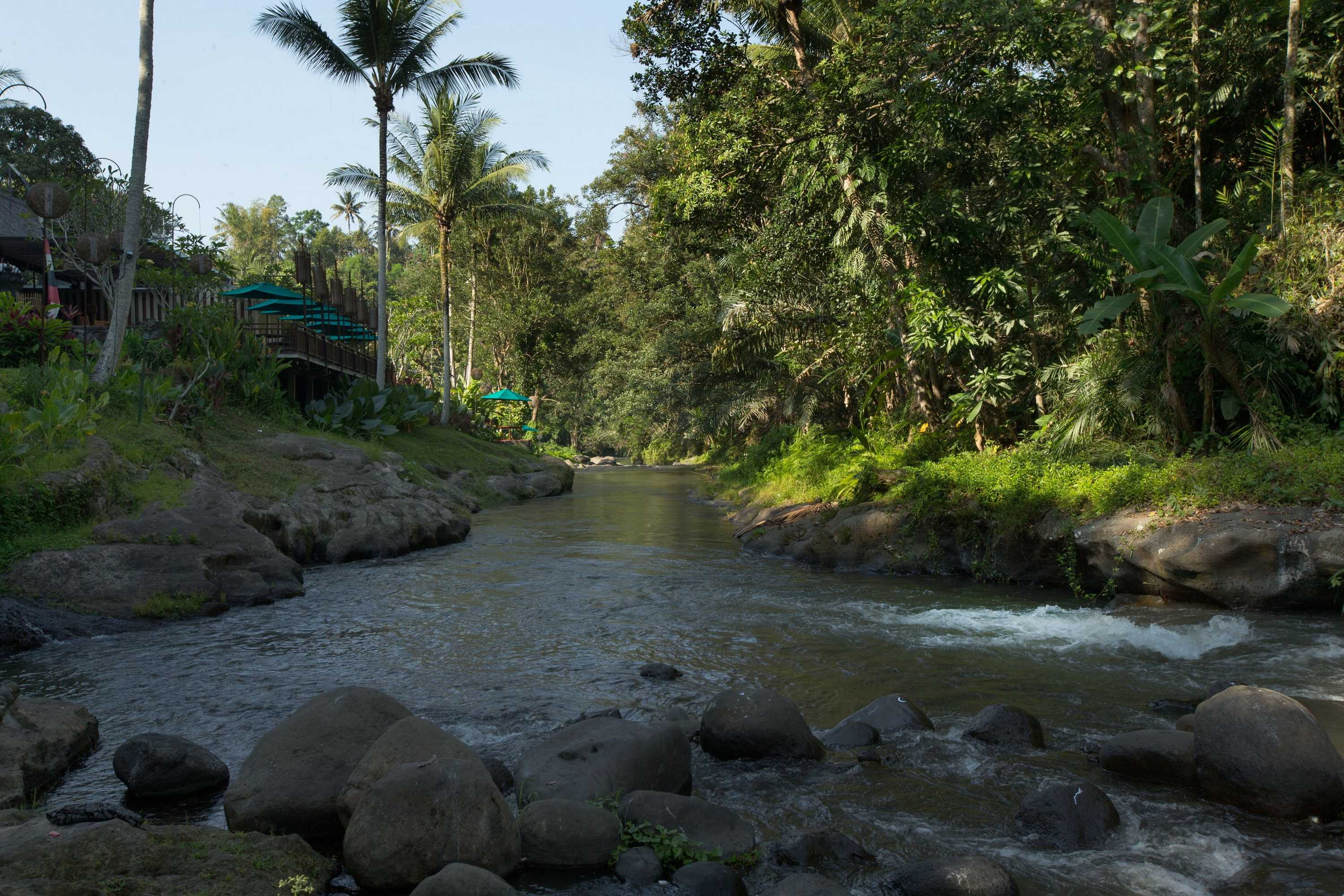 Gift card for The Samaya Ubud Gift card for The Samaya Ubud