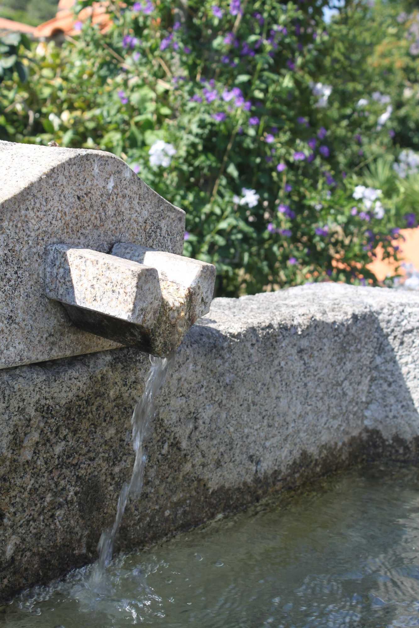 Gift card for Propriedade do Pires