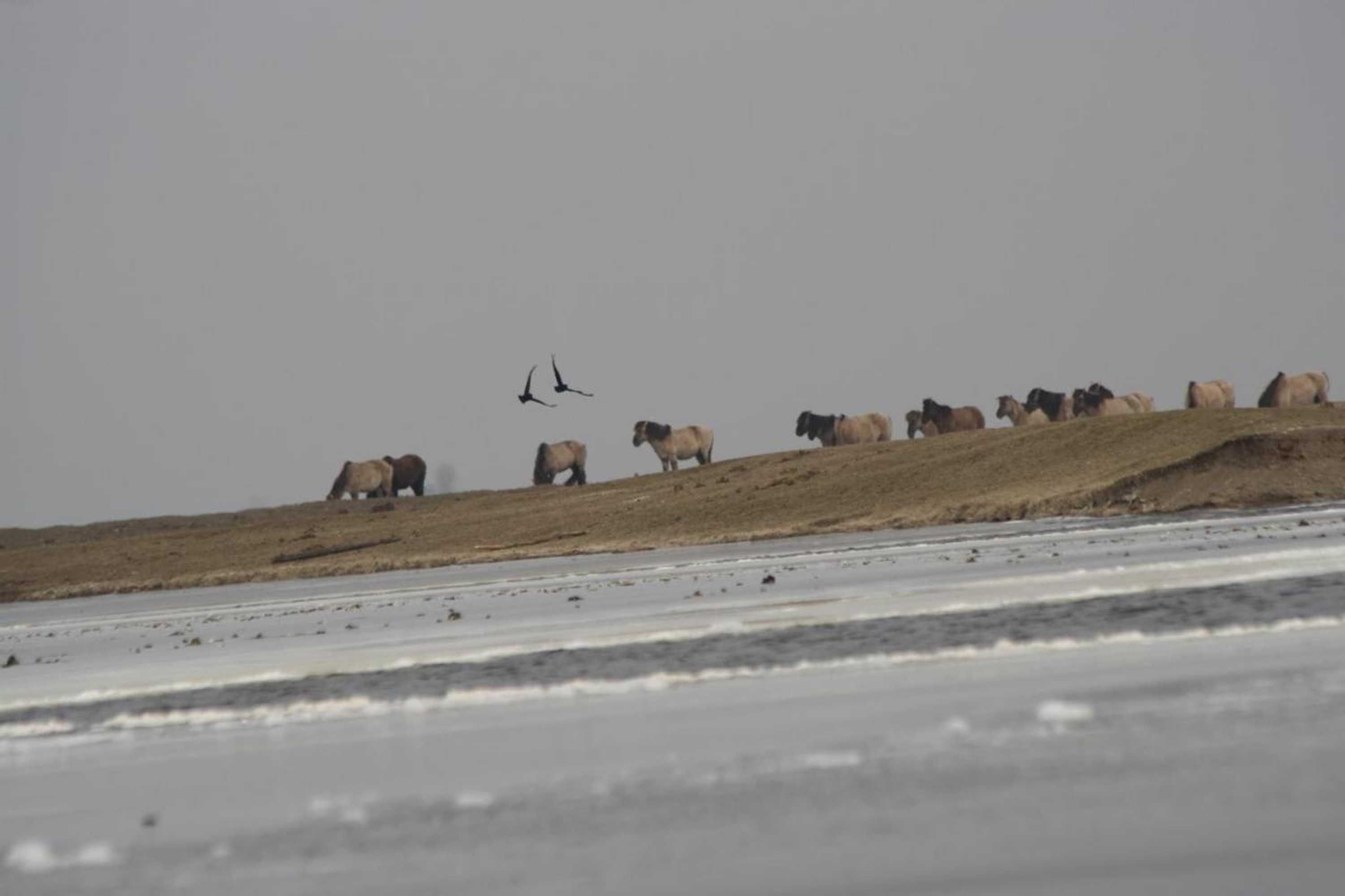 Gift card for Casa Mirador Almere