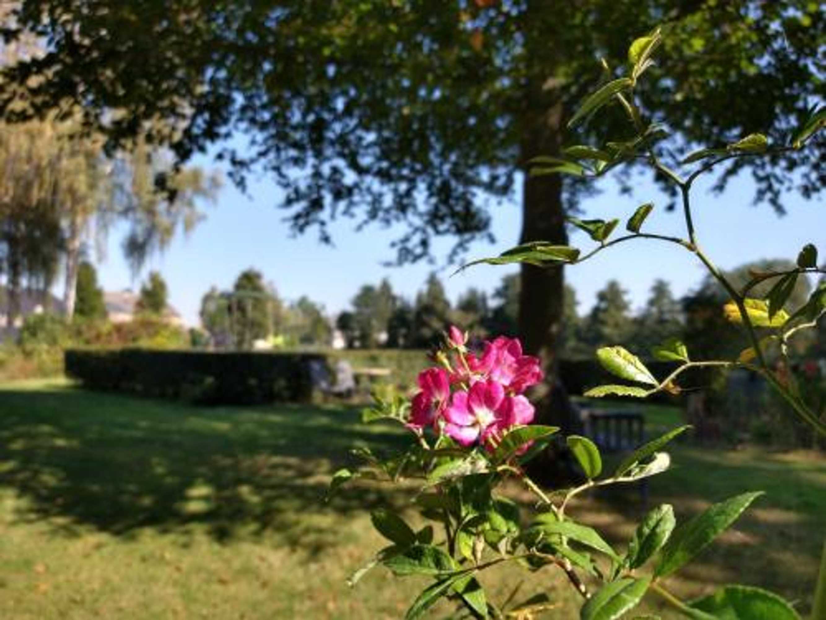 Gift card for B&b-Hotel de Joremeinshoeve Gift card for B&b-Hotel de Joremeinshoeve