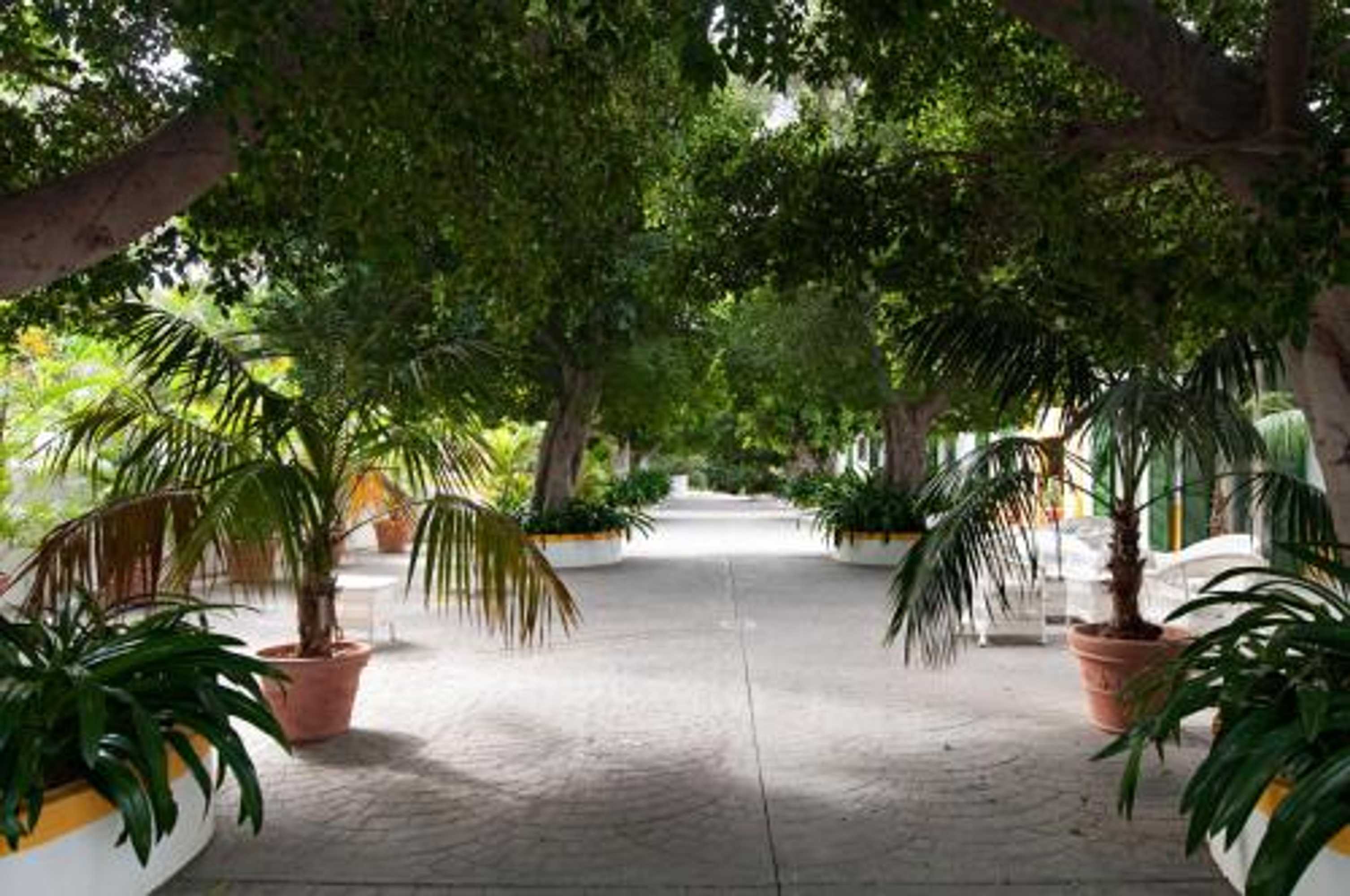 Gift card for Cortijo San Ignacio Hotel Rural Gift card for Cortijo San Ignacio Hotel Rural