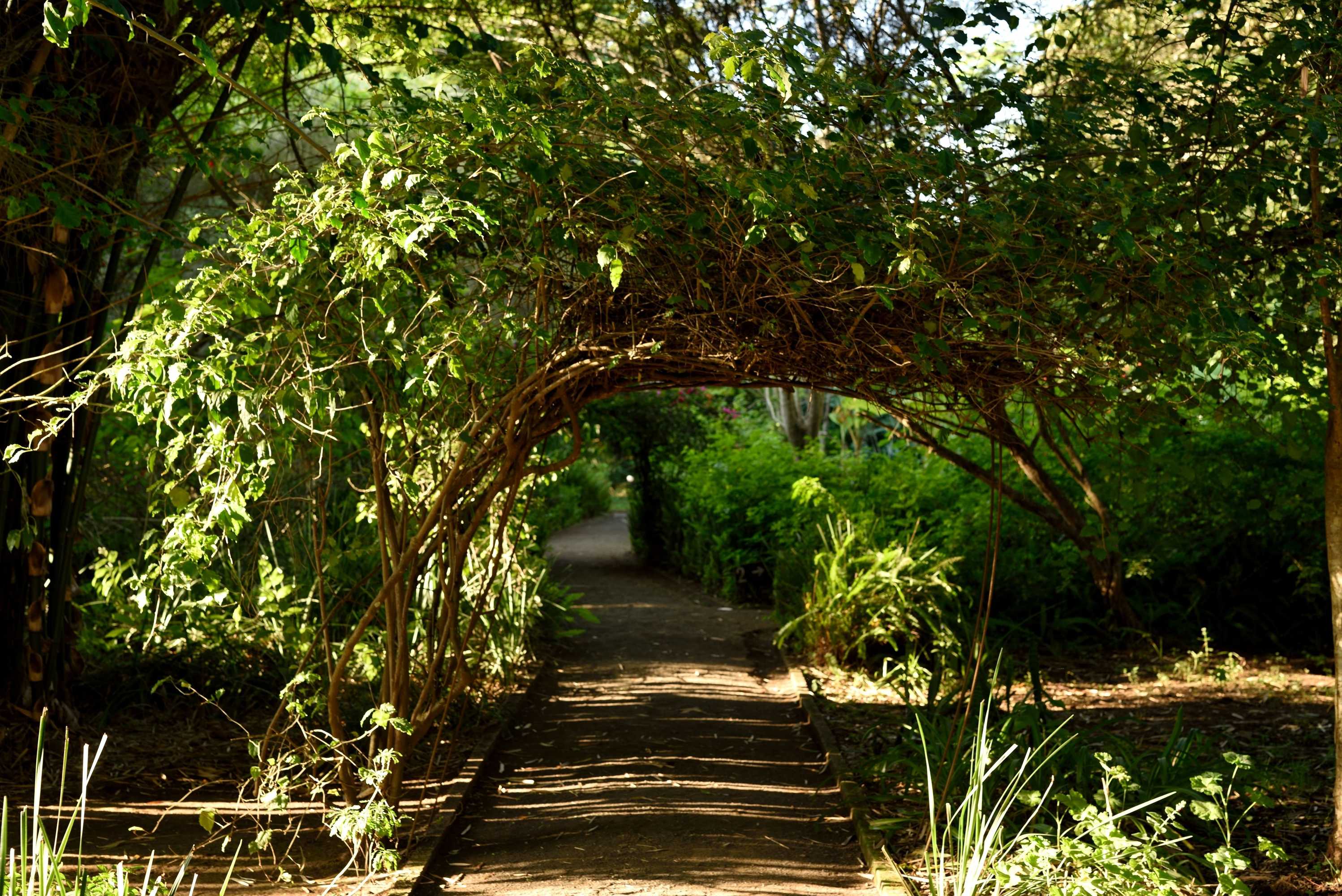 Gift card for Moivaro Coffee Plantation Lodge Gift card for Moivaro Coffee Plantation Lodge