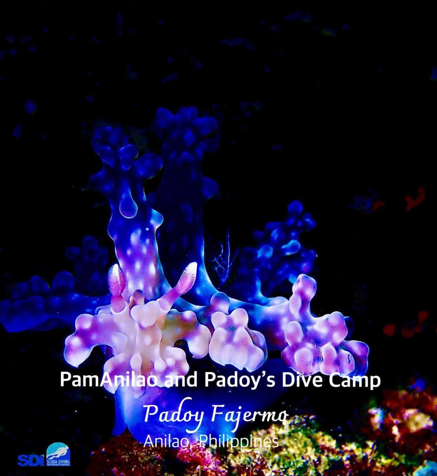 Gift card for Pamanilao And Padoy's Dive Camp Gift card for Pamanilao And Padoy's Dive Camp