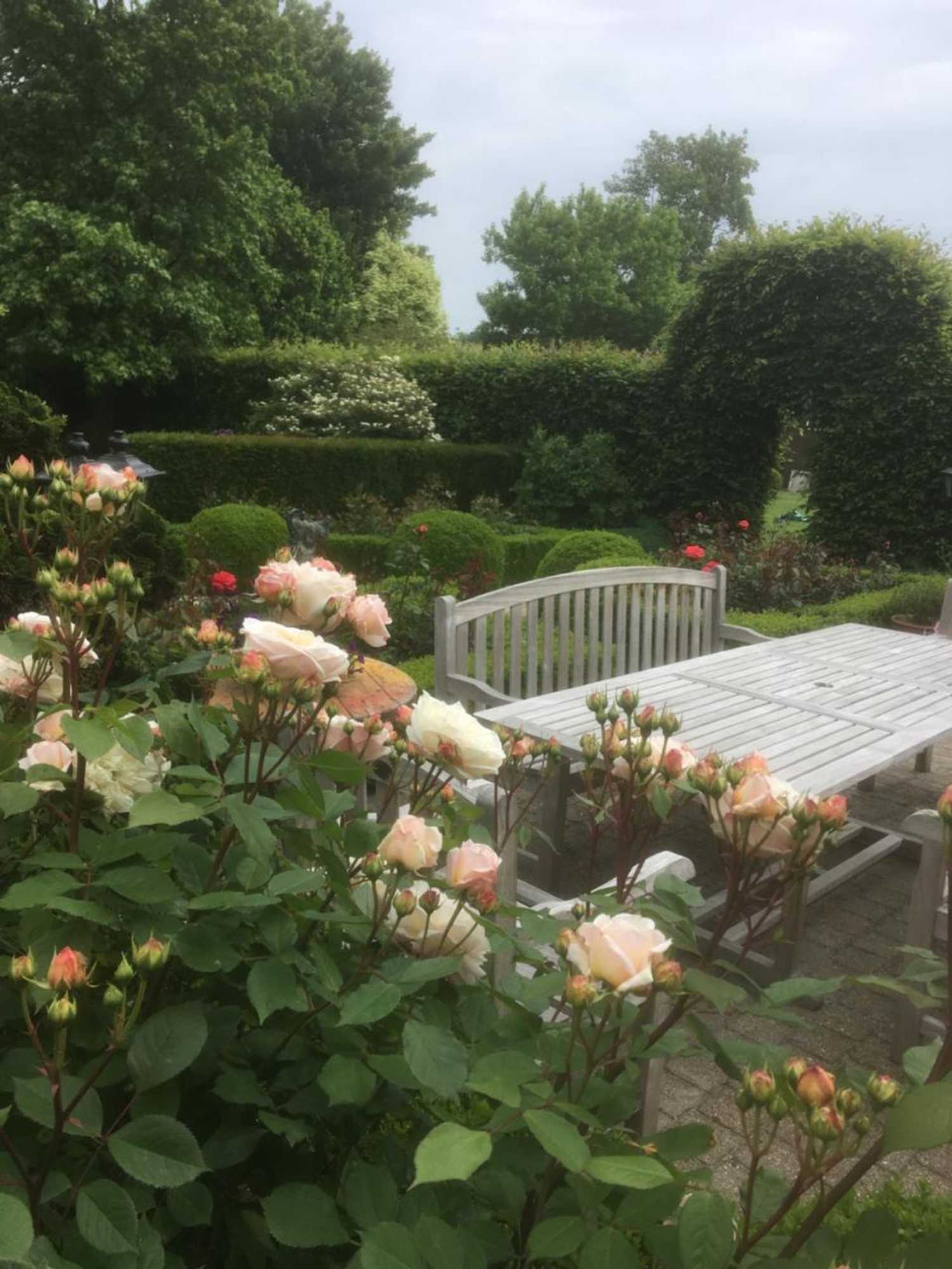 Gift card for B&b Olen