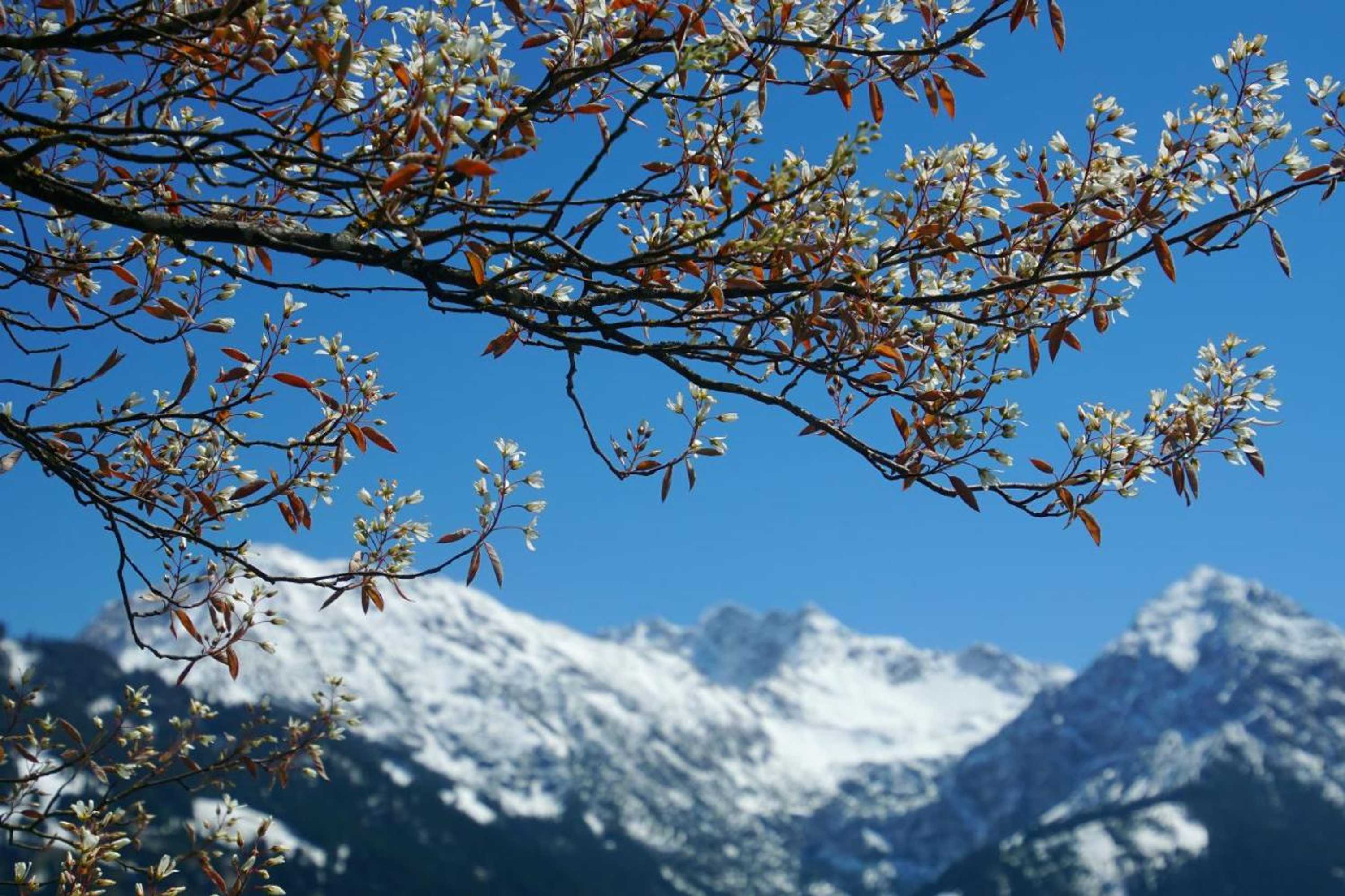 Gift card for Panorama Hotel Kaserer