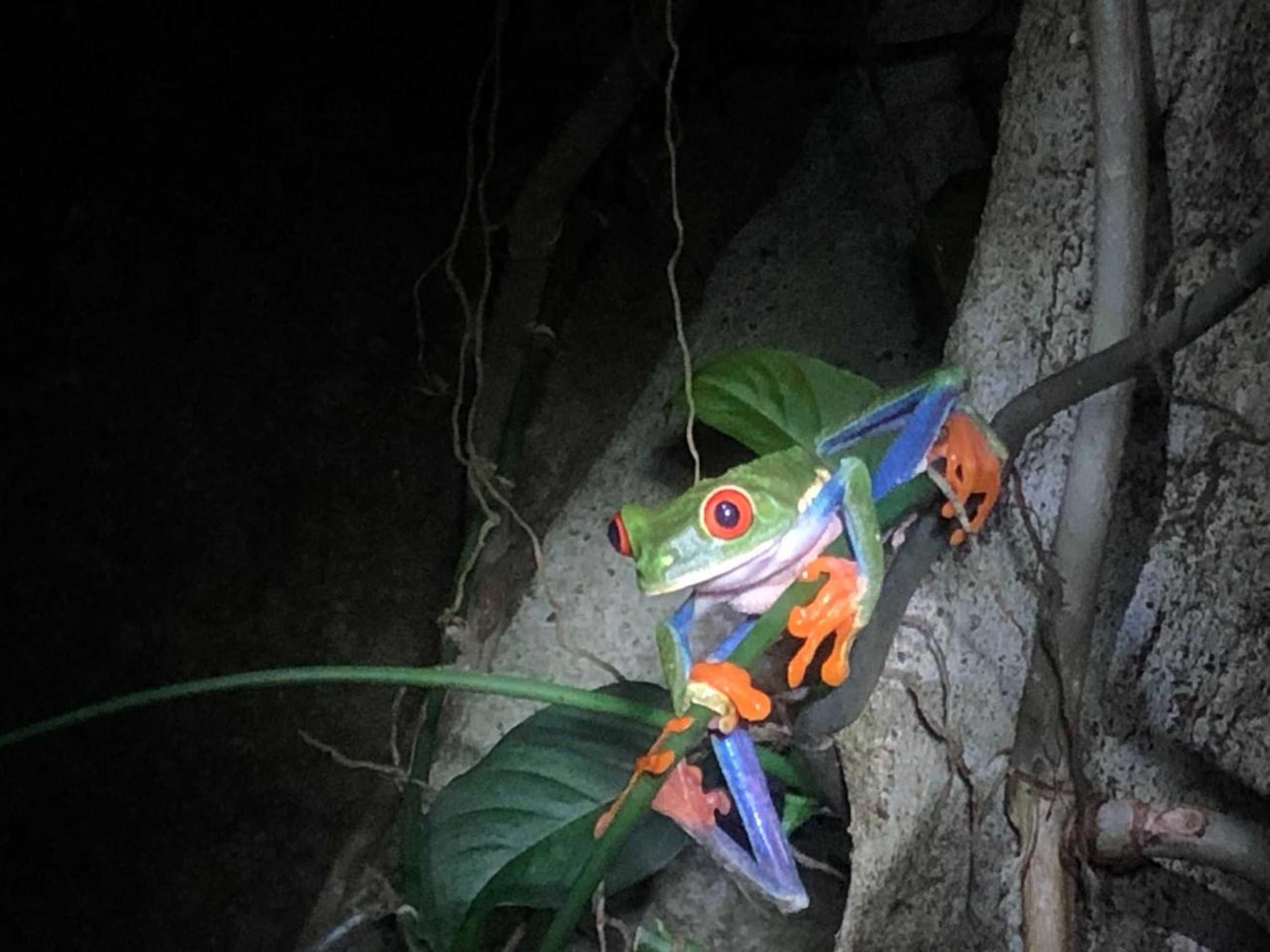 Gift card for Bella Vista Ranch Ecolodge