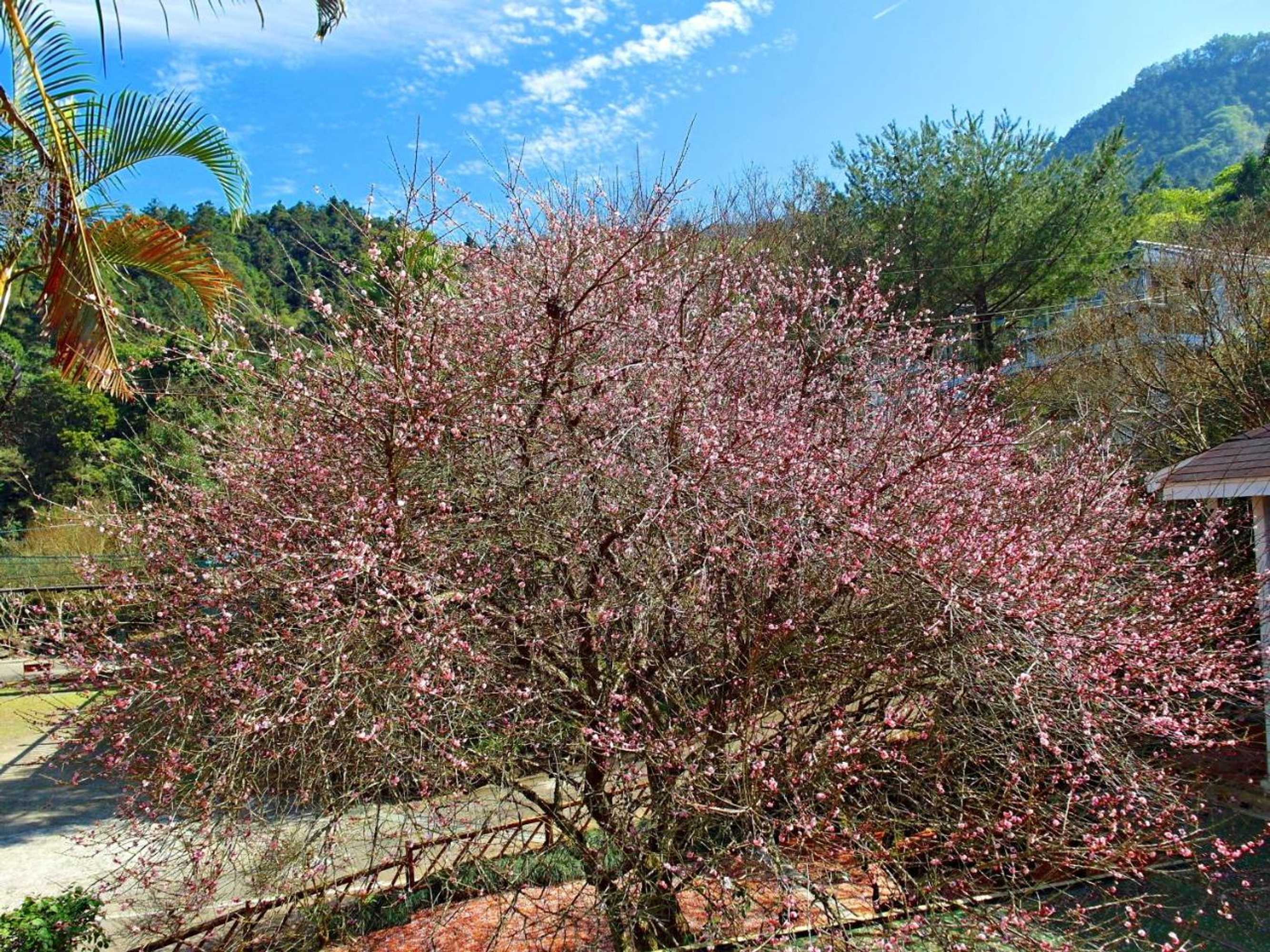 Gift card for Li Jin Kuan Homestay