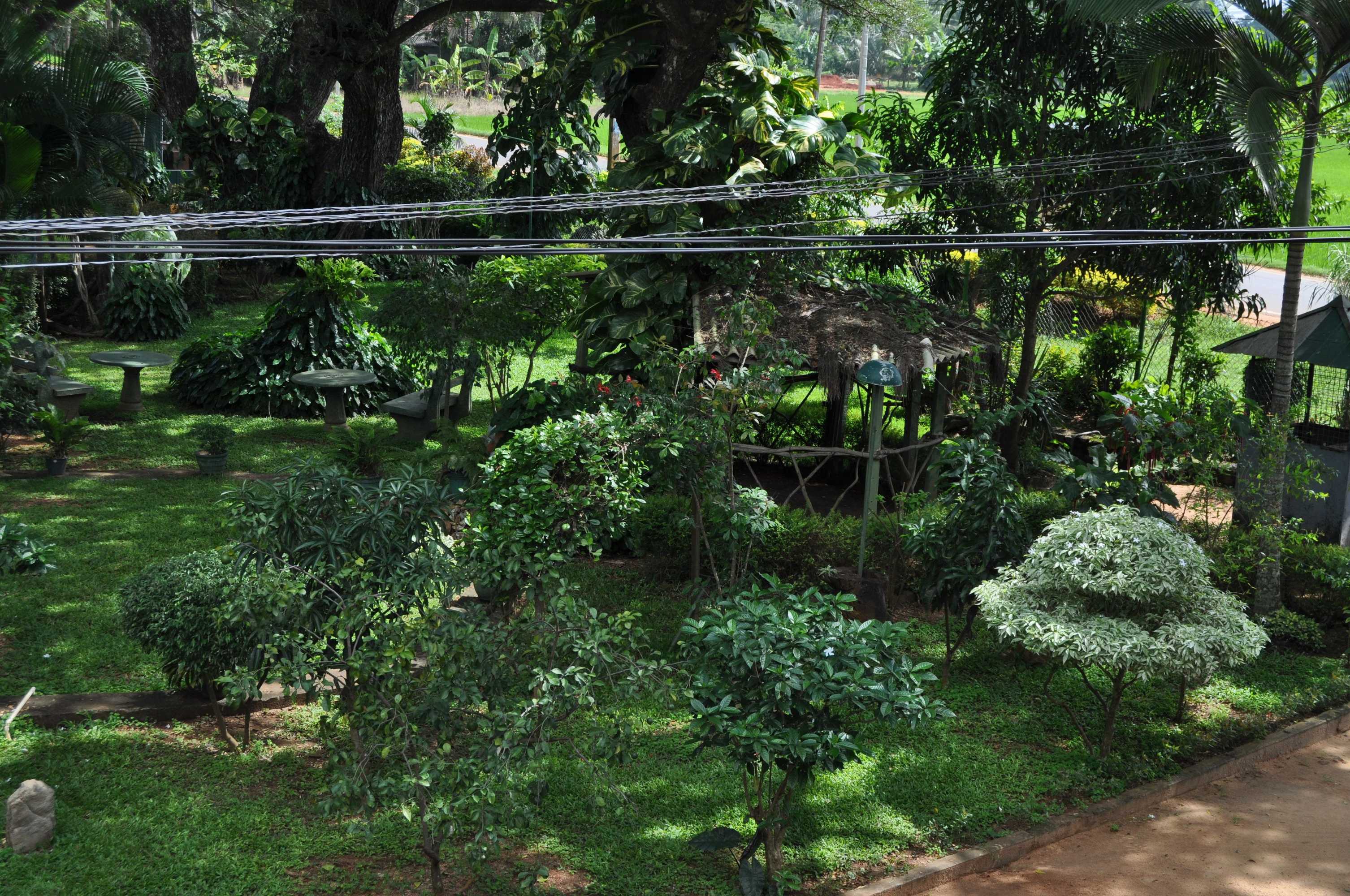 Gift card for Nilketha Villa Eco Hotel Gift card for Nilketha Villa Eco Hotel