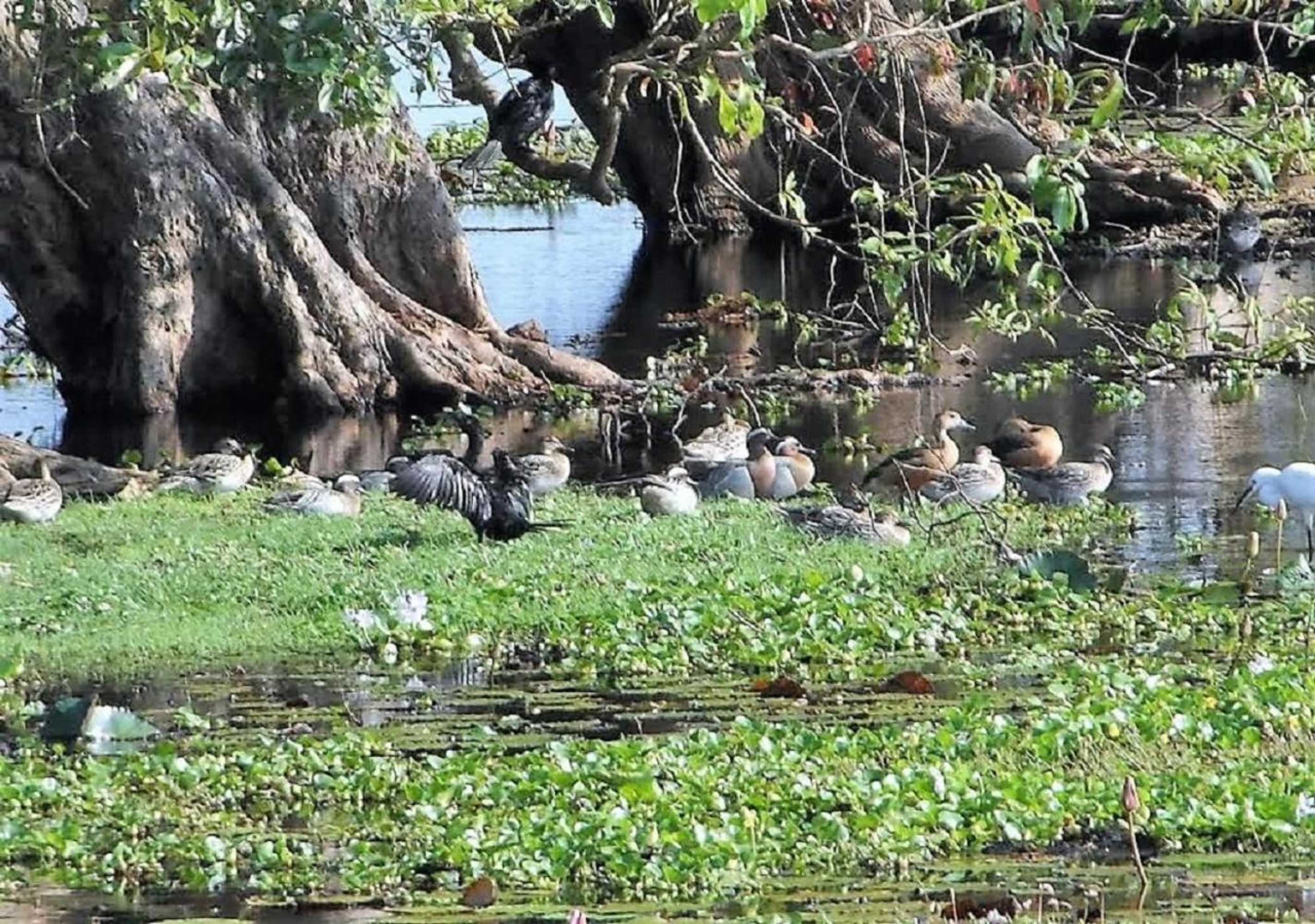 Gift card for Twin Waters Resort