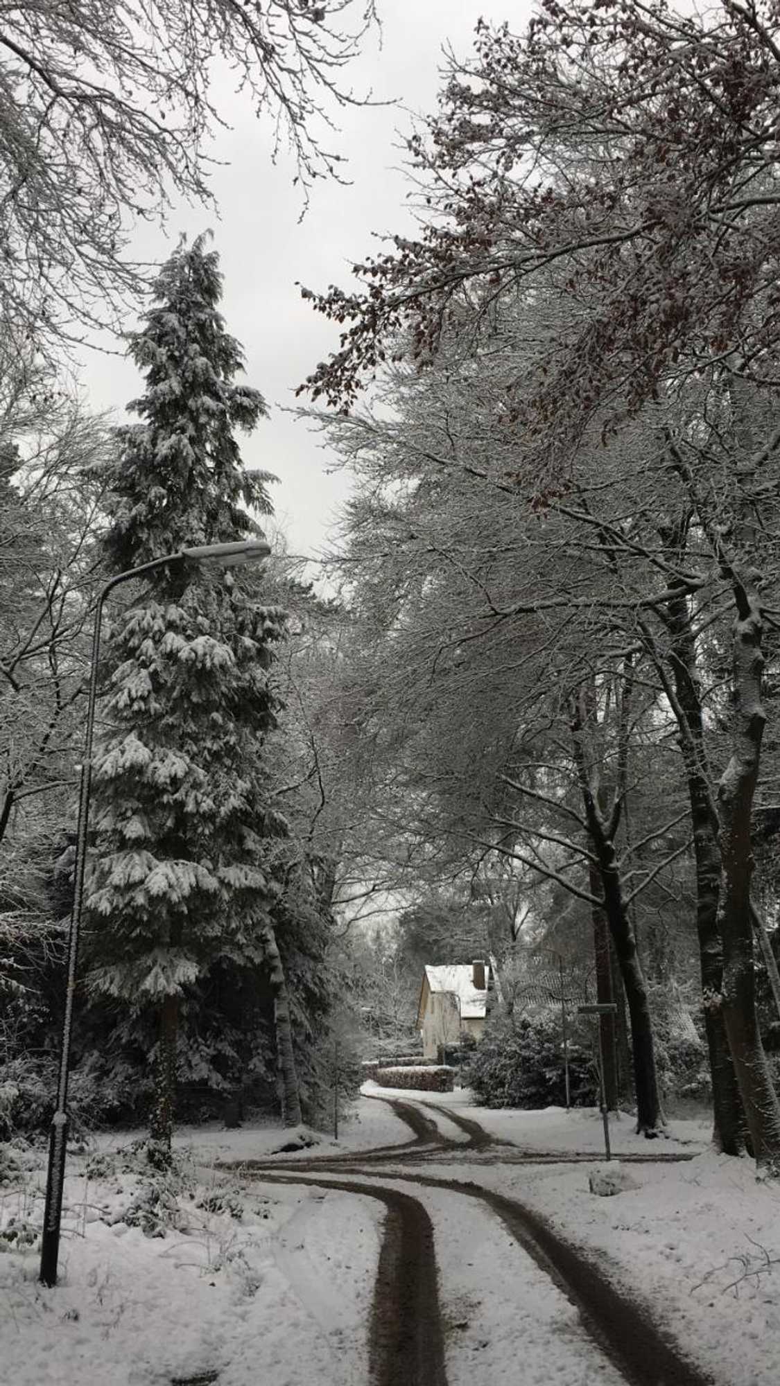 Gift card for B&b In de Aap Gelogeerd