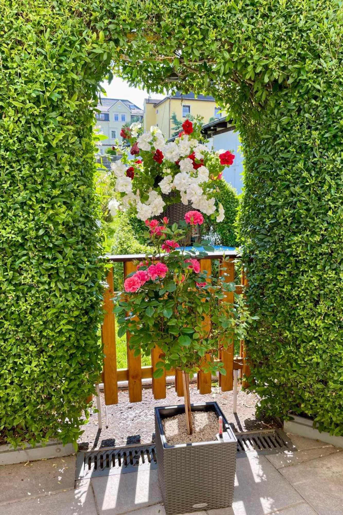 Gift card for Ferienwohnung Haus Feig