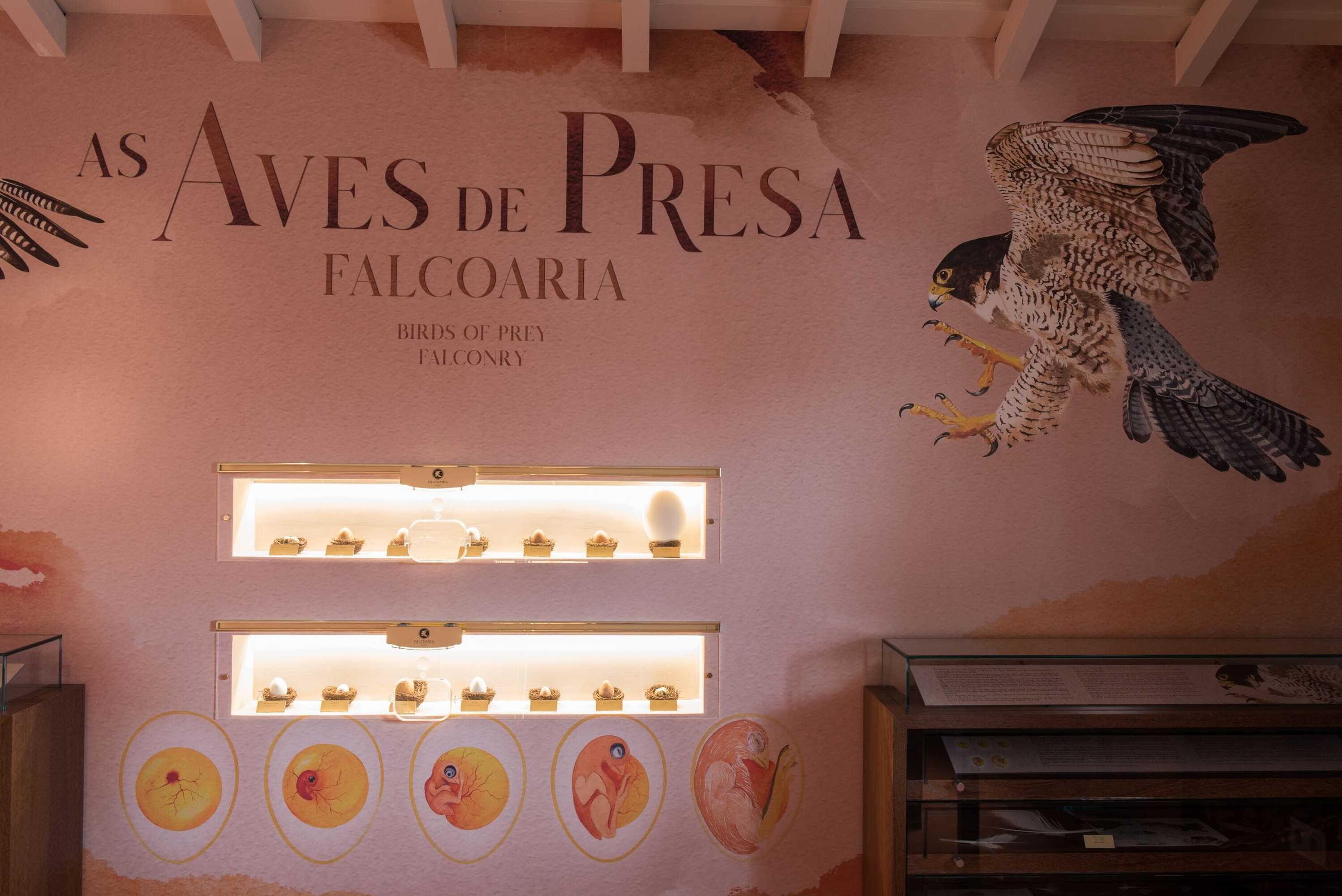 Gift card for Vila Gale Collection Alter Real - Resort Equestre, Conference & Spa