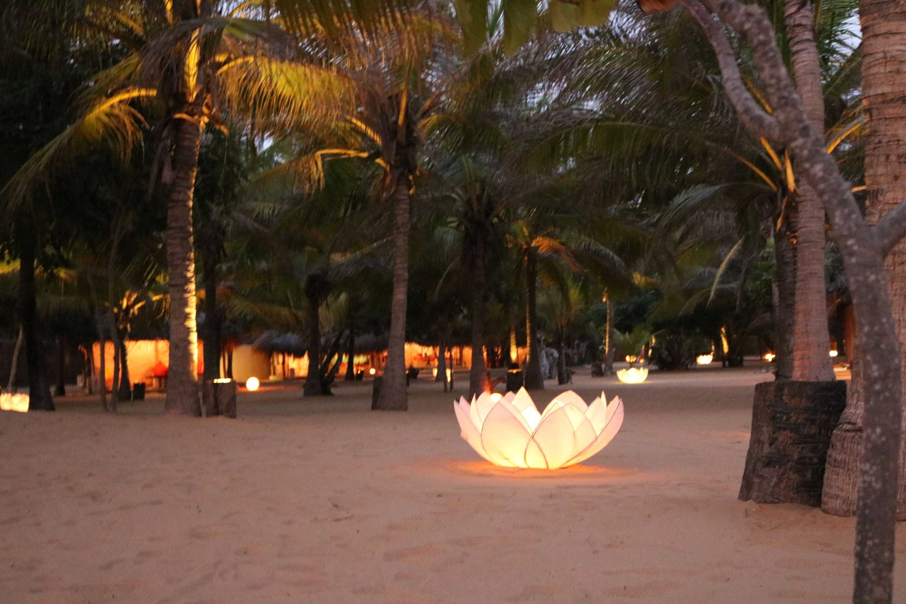 Gift card for Dolphin Beach Kalpitiya