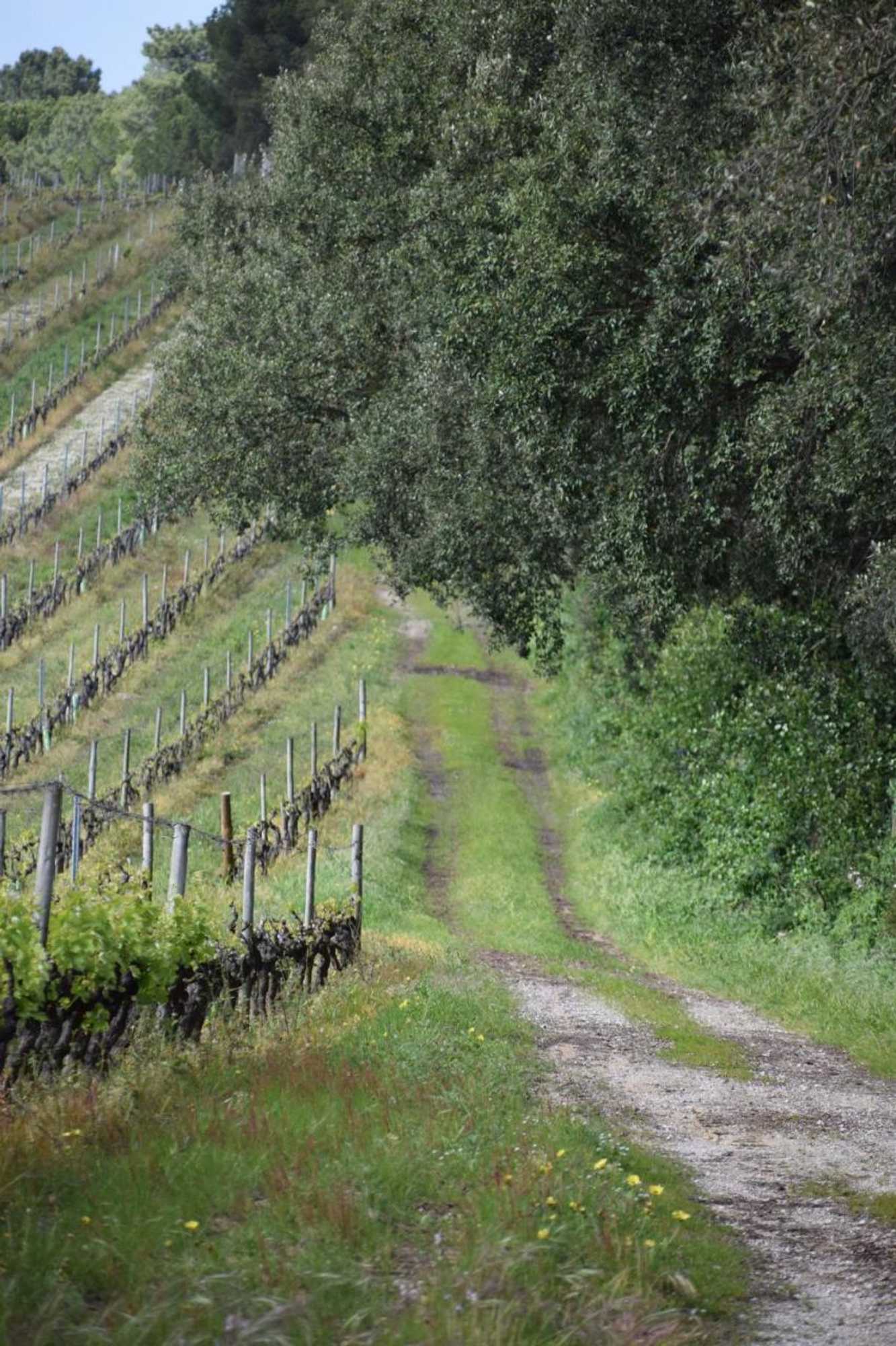 Gift card for Quinta De Catralvos