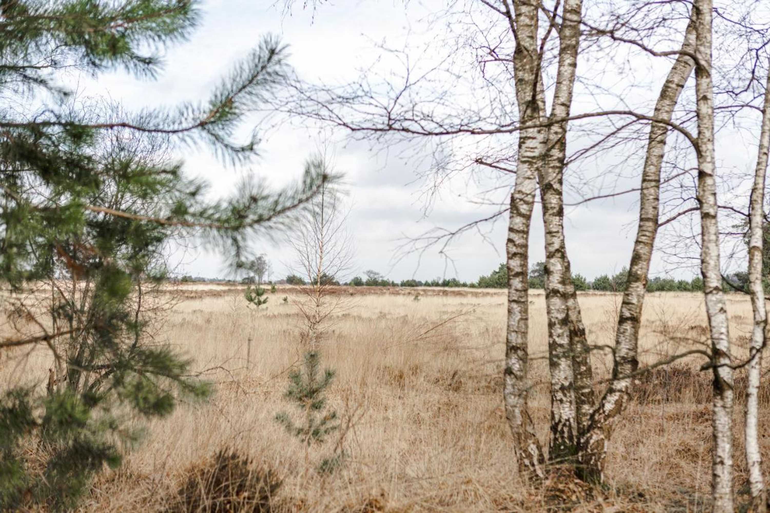 Gift card for B&b Studiolke