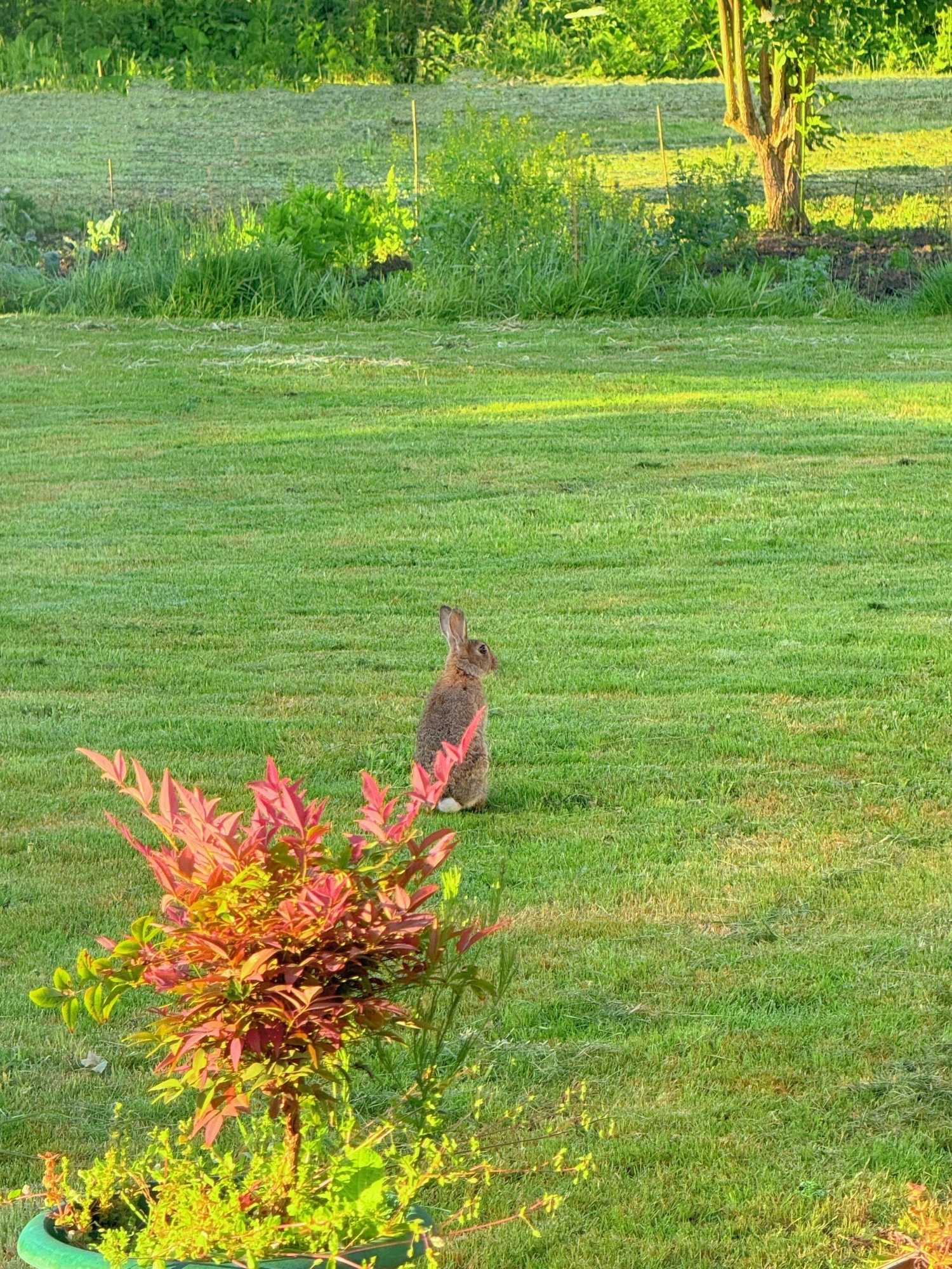 Gift card for The Evergreen Hotel