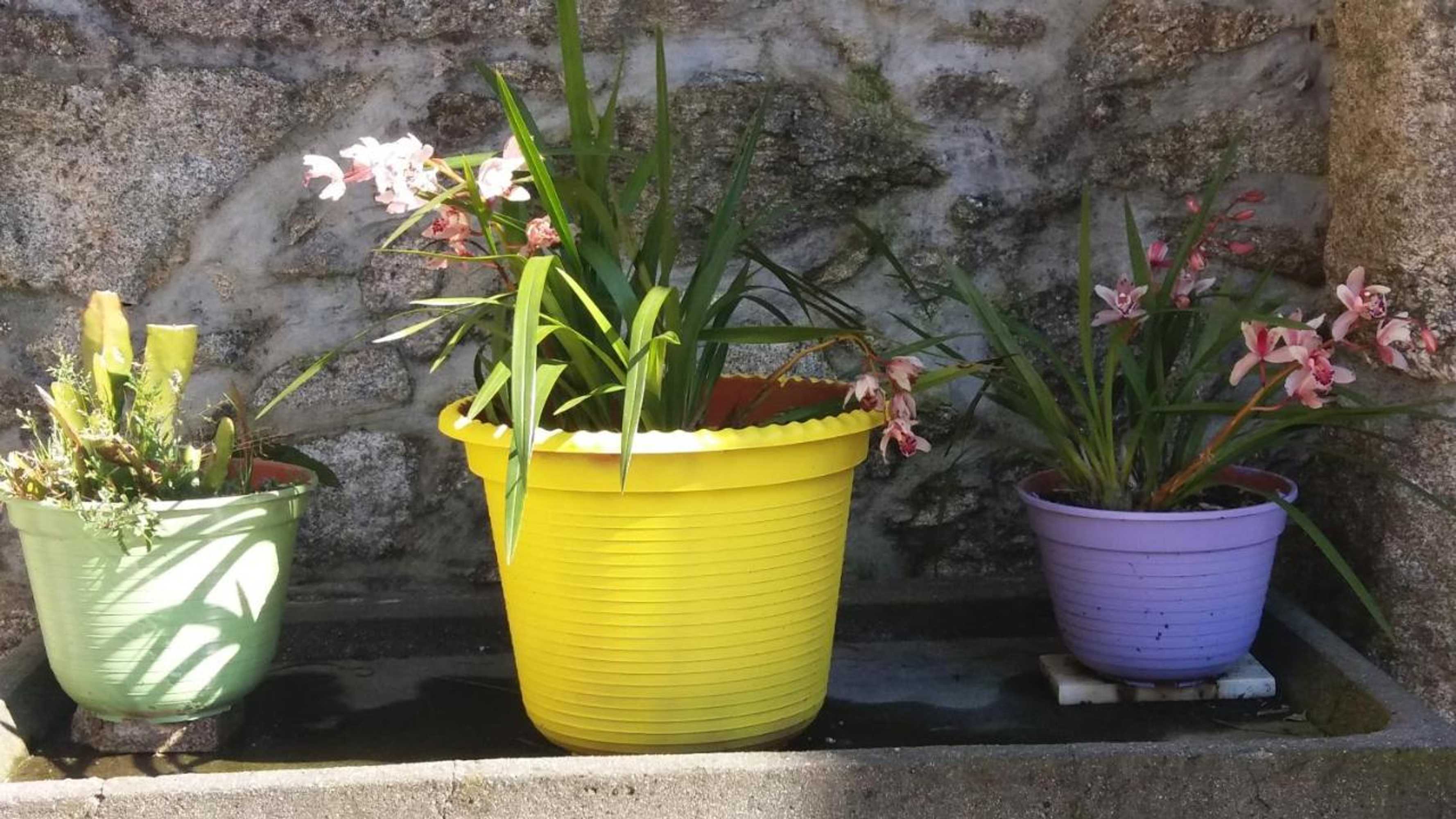 Gift card for Casa Serra do Lagar