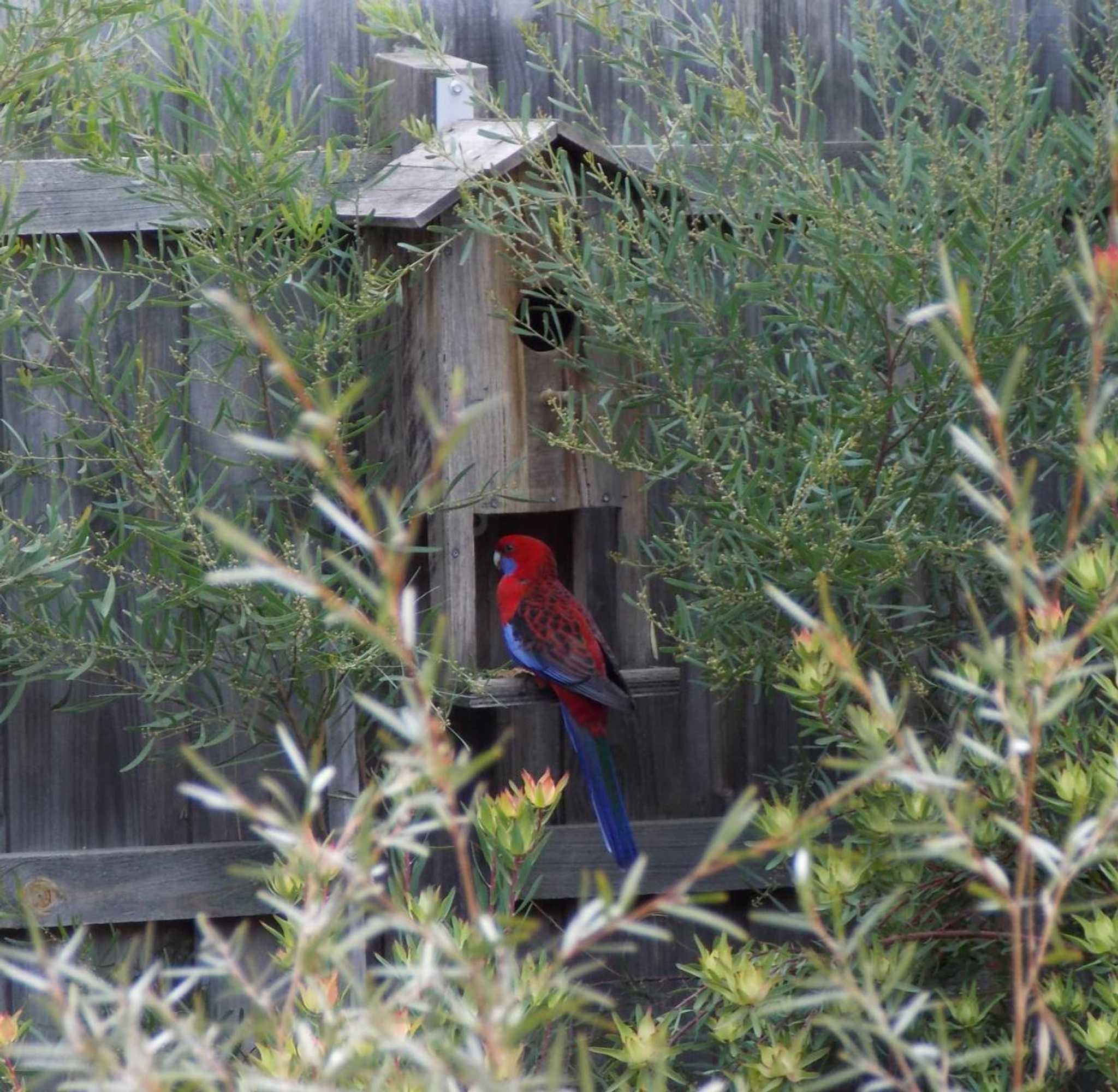 Gift card for Port Mccrae