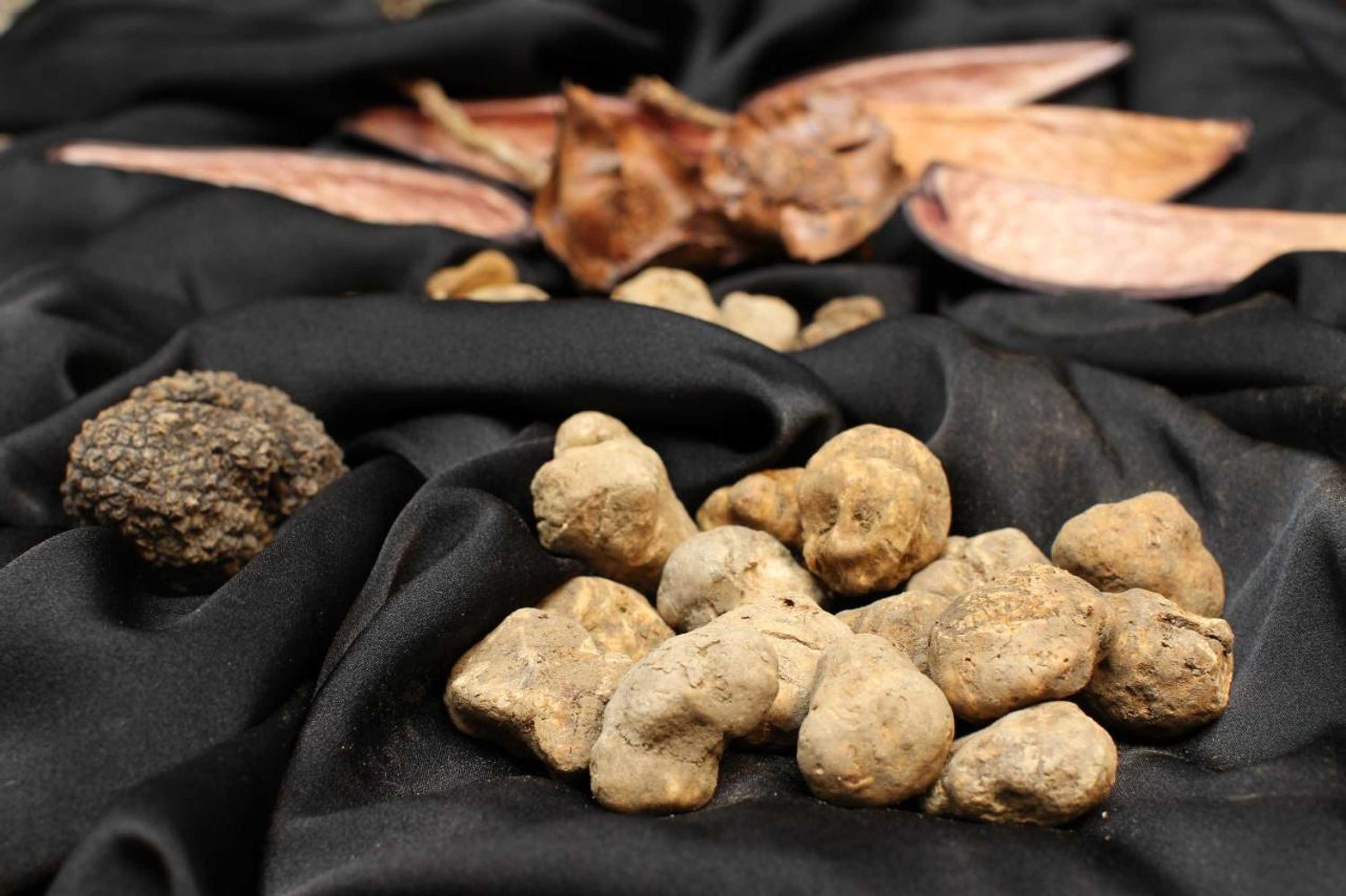 Gift card for Boutique Hotel Vela Vrata Gift card for Boutique Hotel Vela Vrata