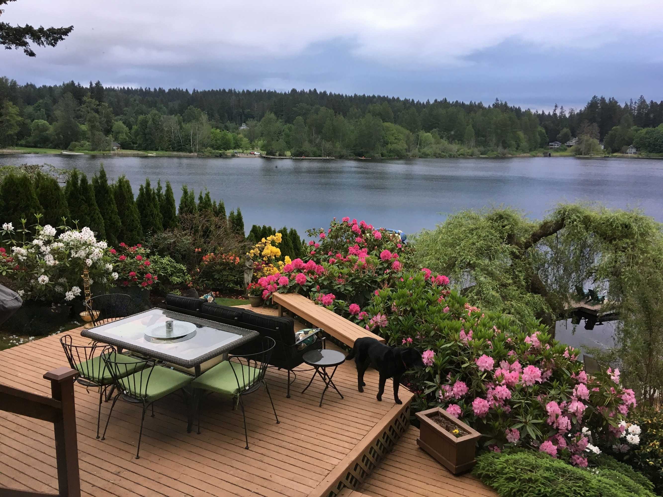 Gift card for Cottage Lake Bed And Breakfast Gift card for Cottage Lake Bed And Breakfast
